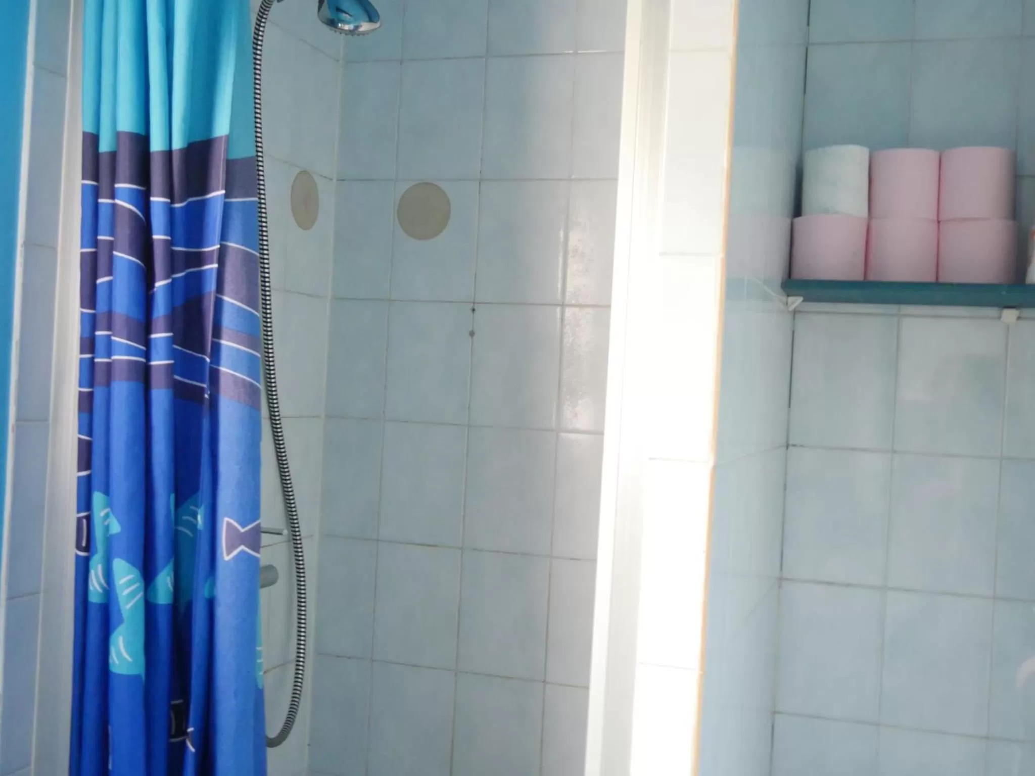 Shower, Bathroom in Private ROOM