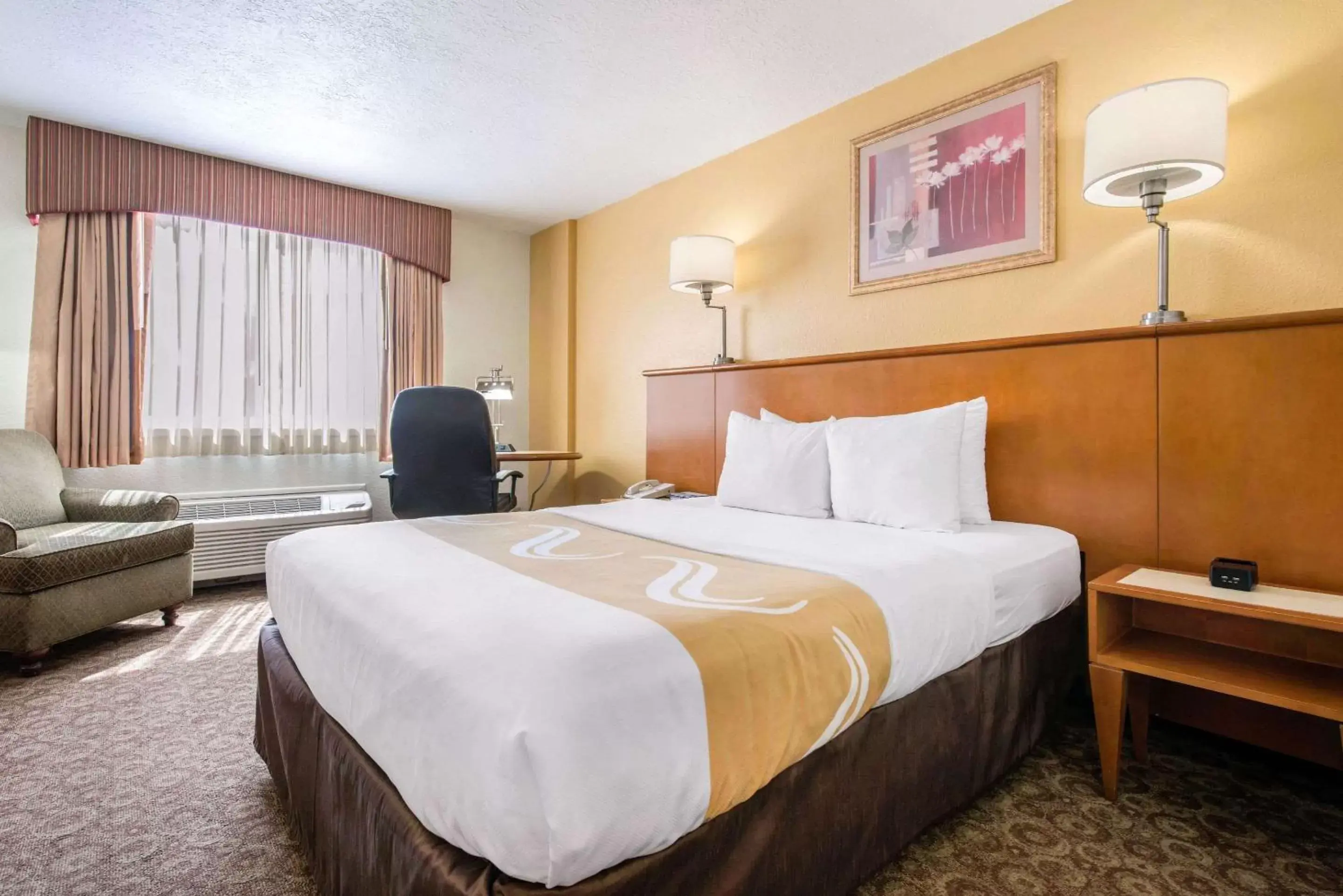 Photo of the whole room, Bed in Quality Inn & Suites Near the Theme Parks
