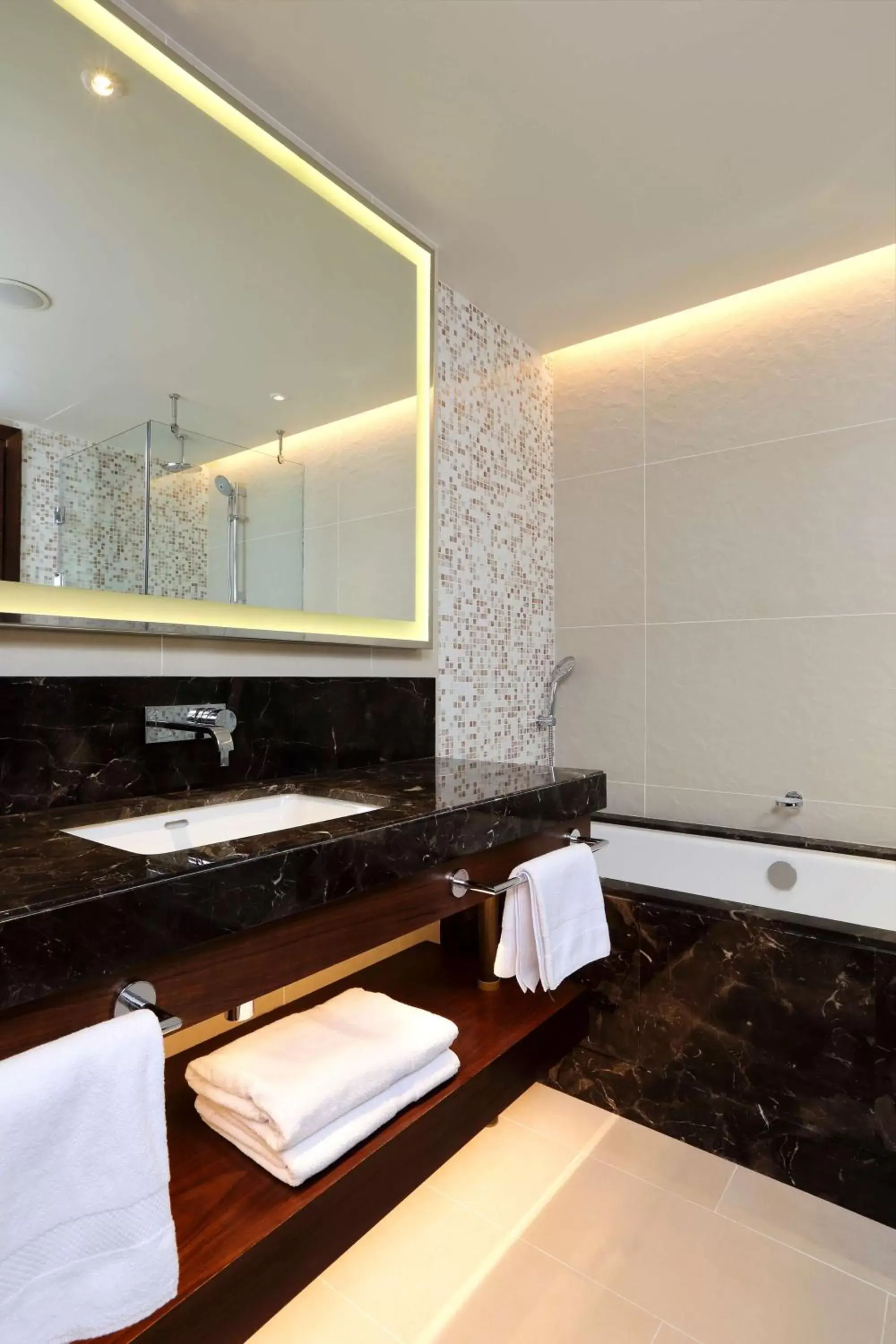 Bathroom in Hilton Batumi