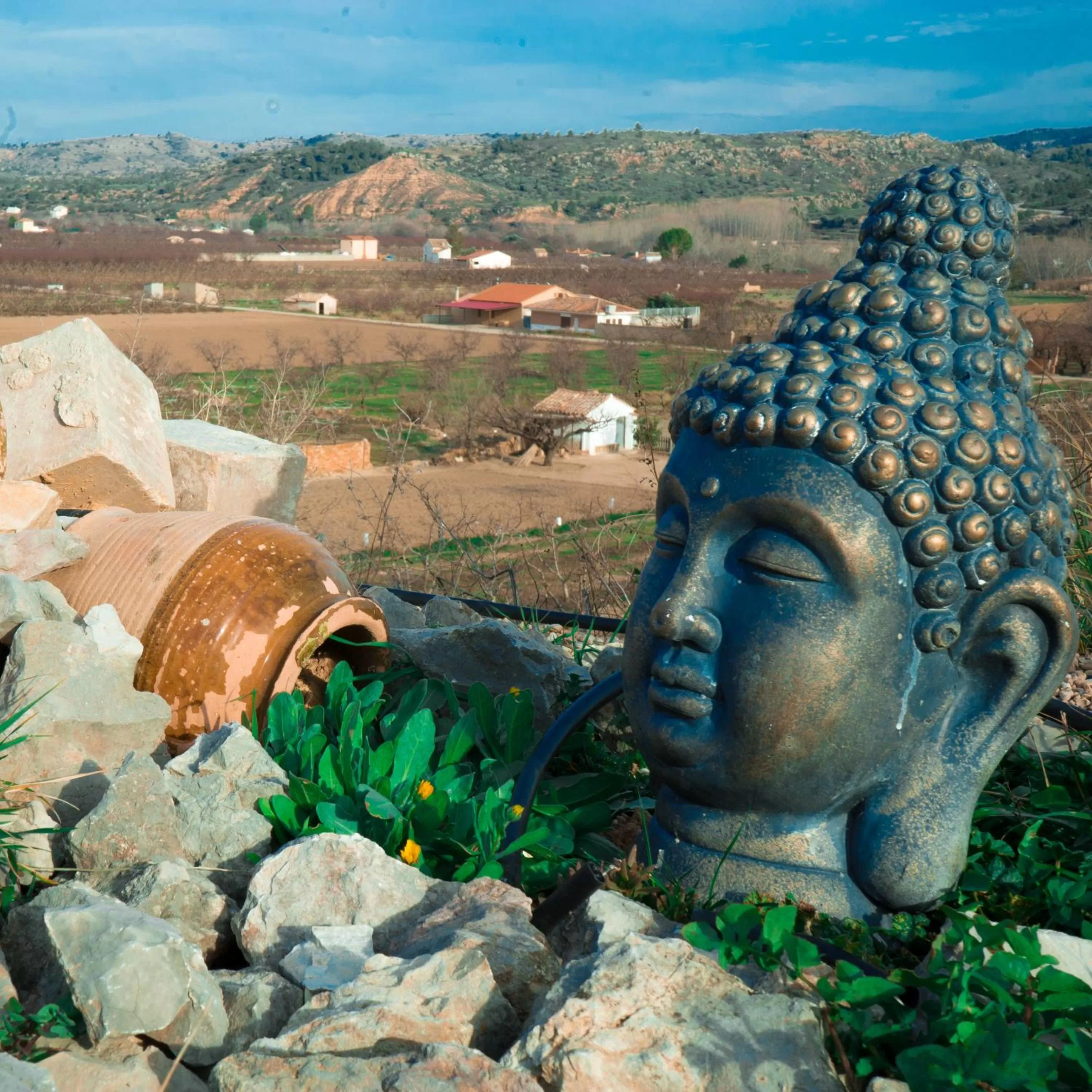 Day in Cabezo Buñuel Hostal