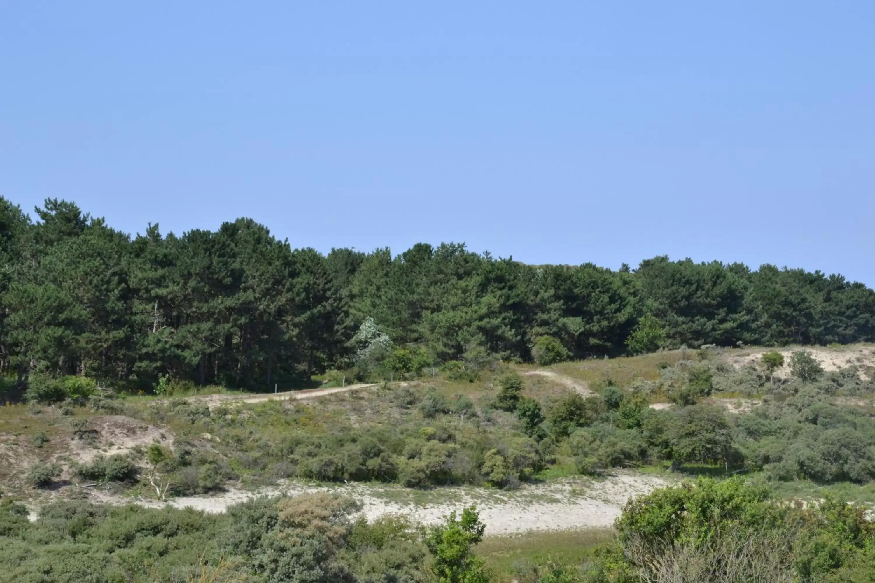 Beach in Fletcher Boutique Hotel Duinoord