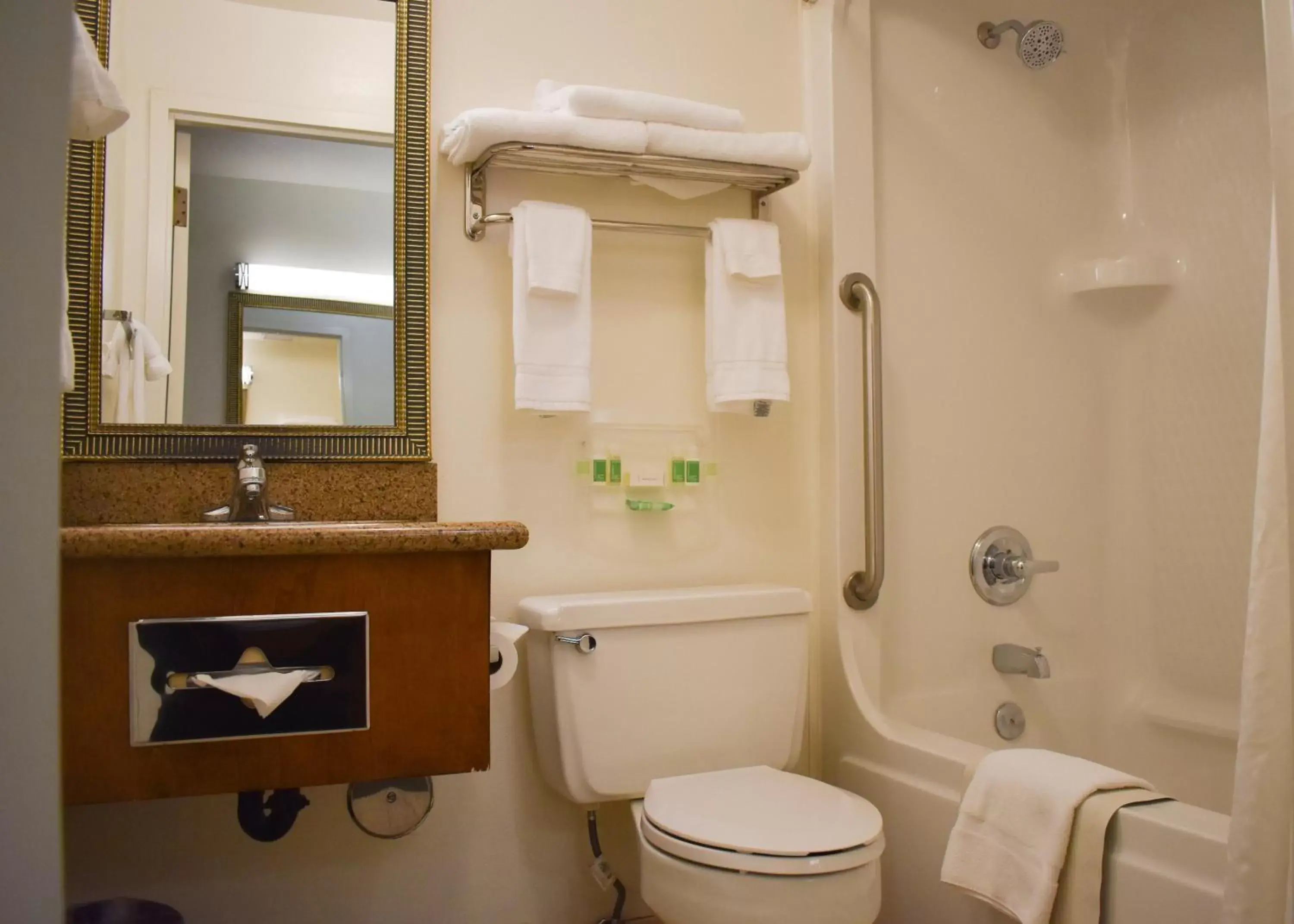 Bathroom in Holiday Inn Redding, an IHG Hotel