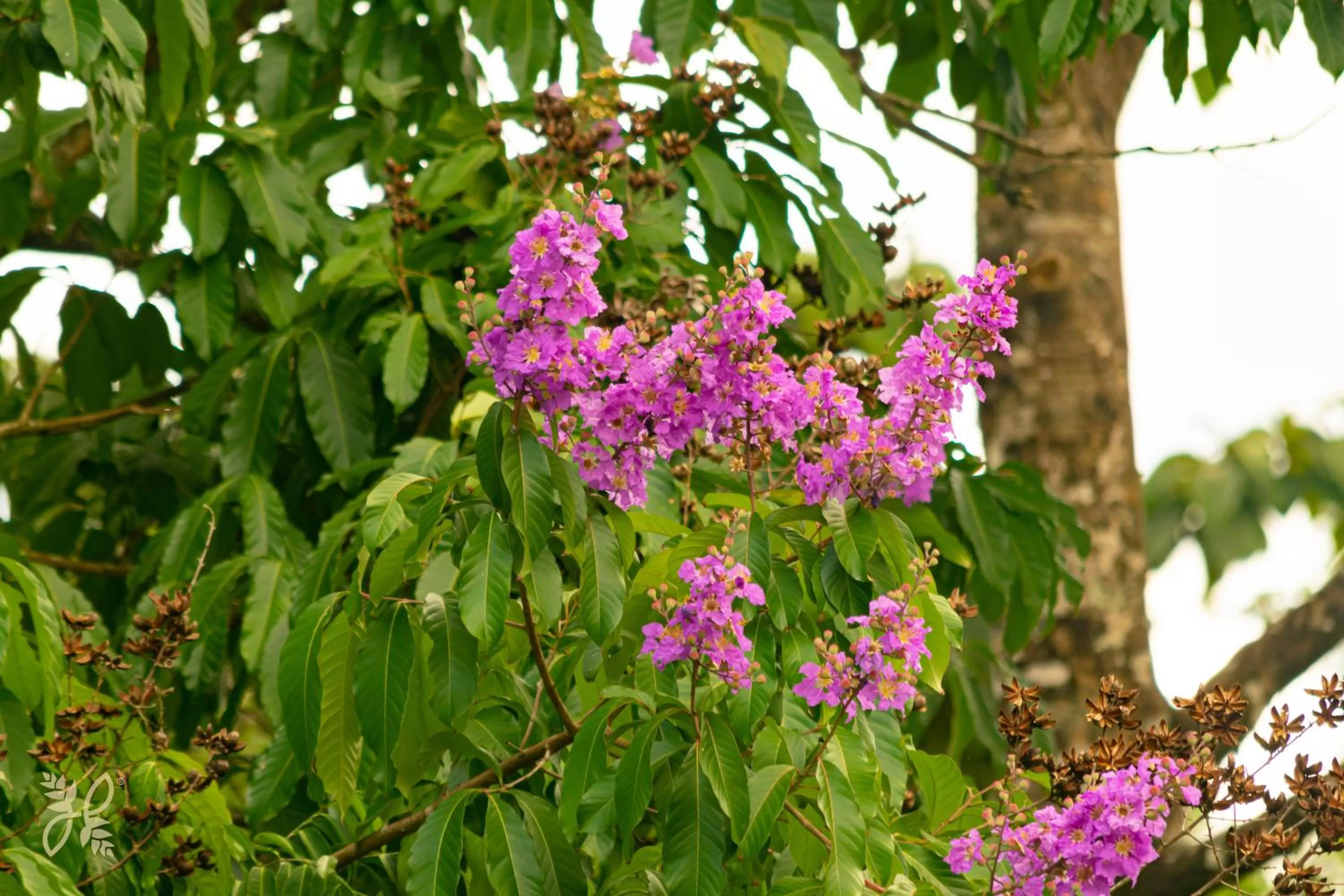 View (from property/room) in Hotel Heliconias Nature Inn & Hot Springs