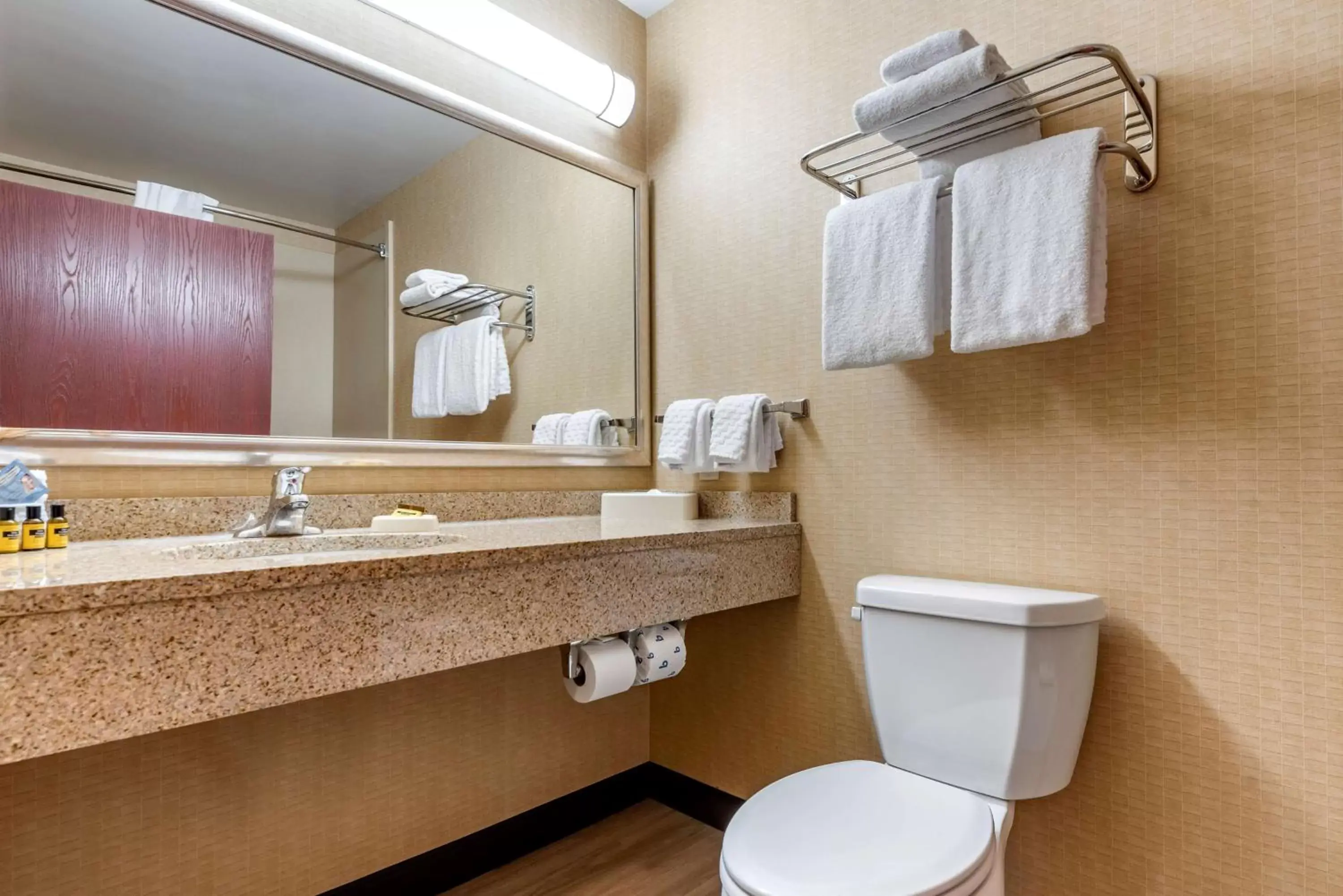 Bathroom in Best Western PLUS Victor Inn & Suites