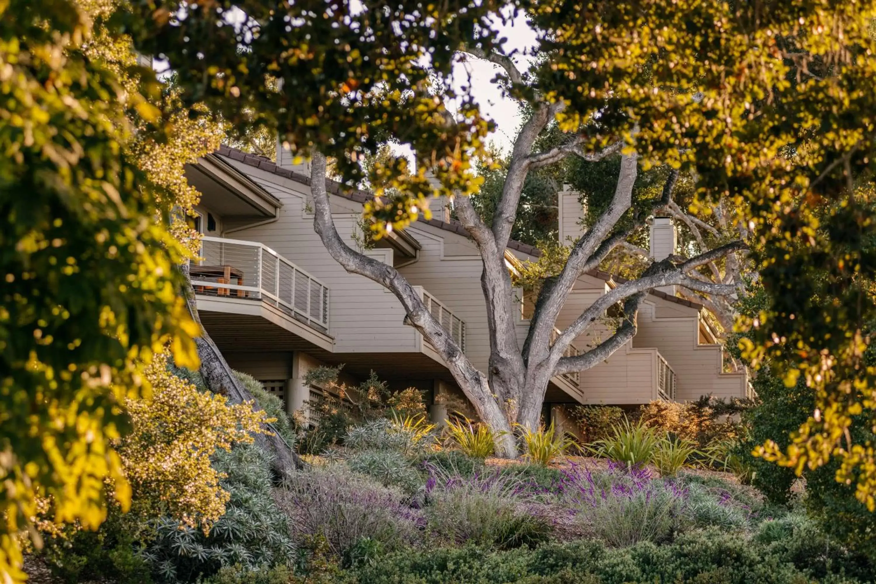 Property Building in Carmel Valley Ranch, in The Unbound Collection by Hyatt