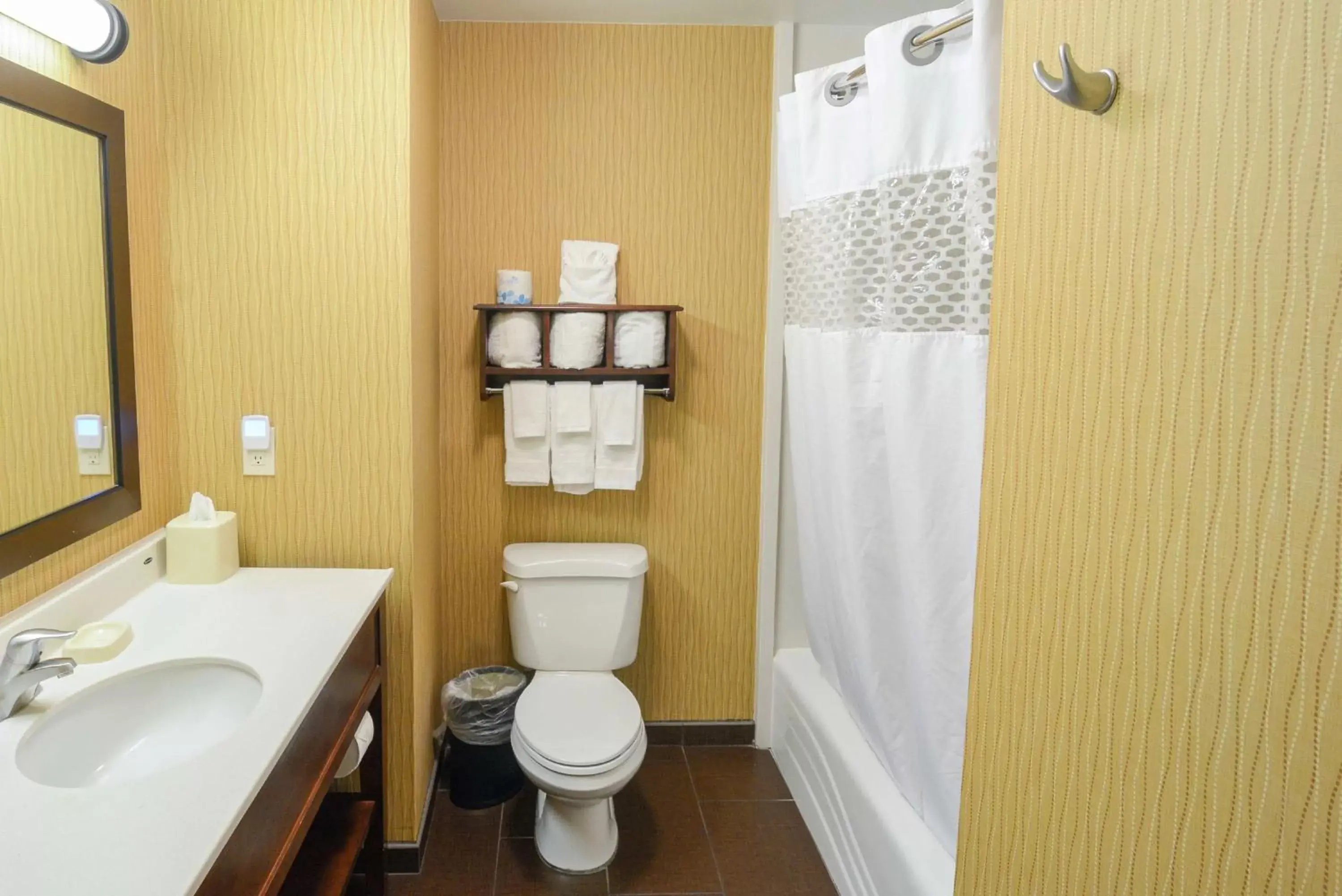 Bathroom in Hampton Inn & Suites Tampa-North