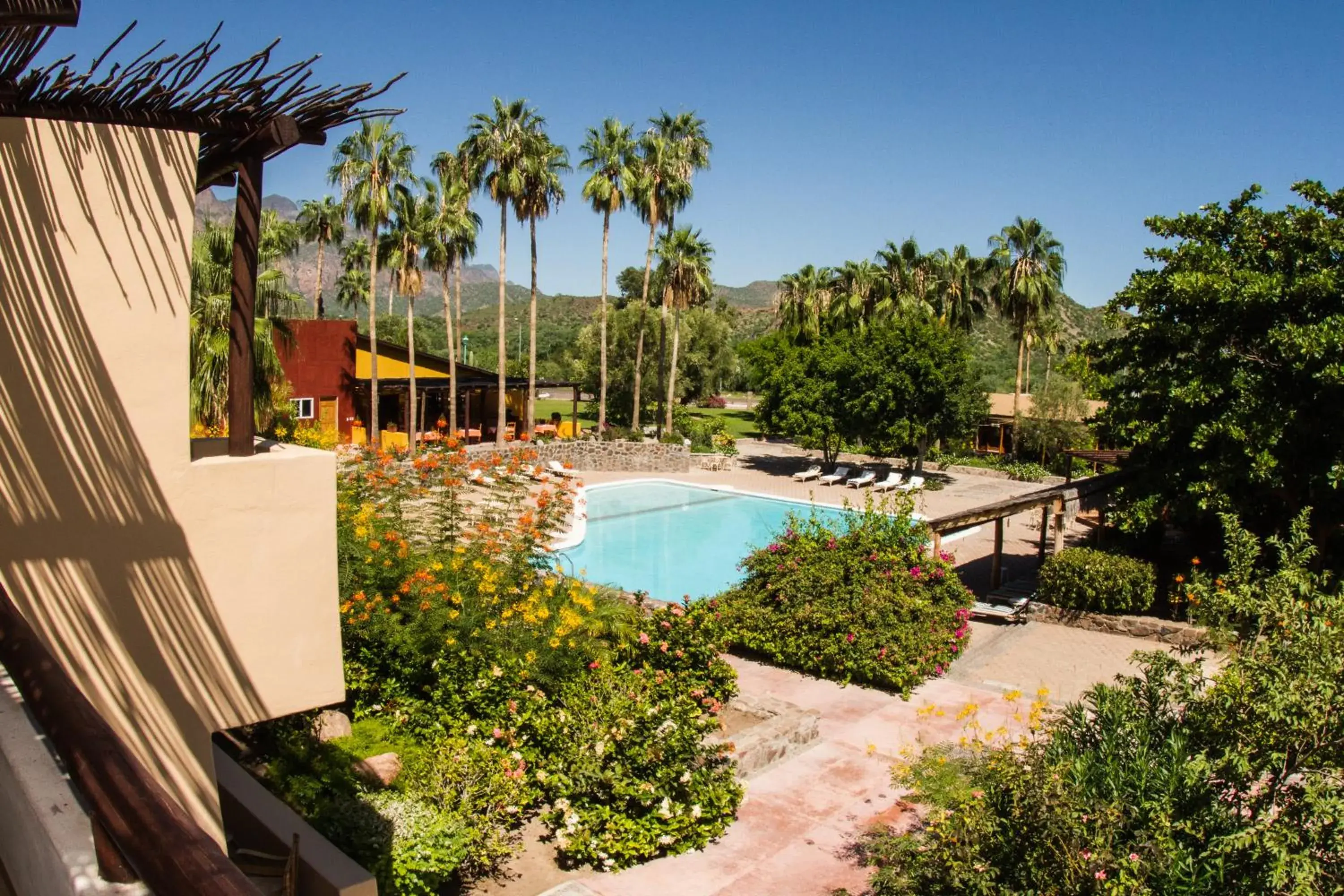 View (from property/room), Pool View in Tripui Hotel