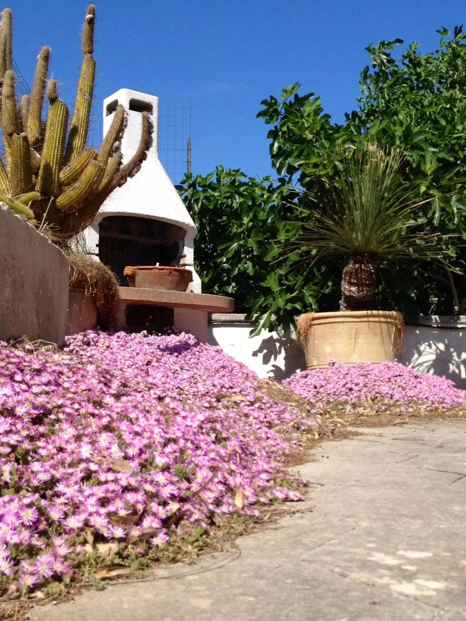 Garden in B&B Villa Ines