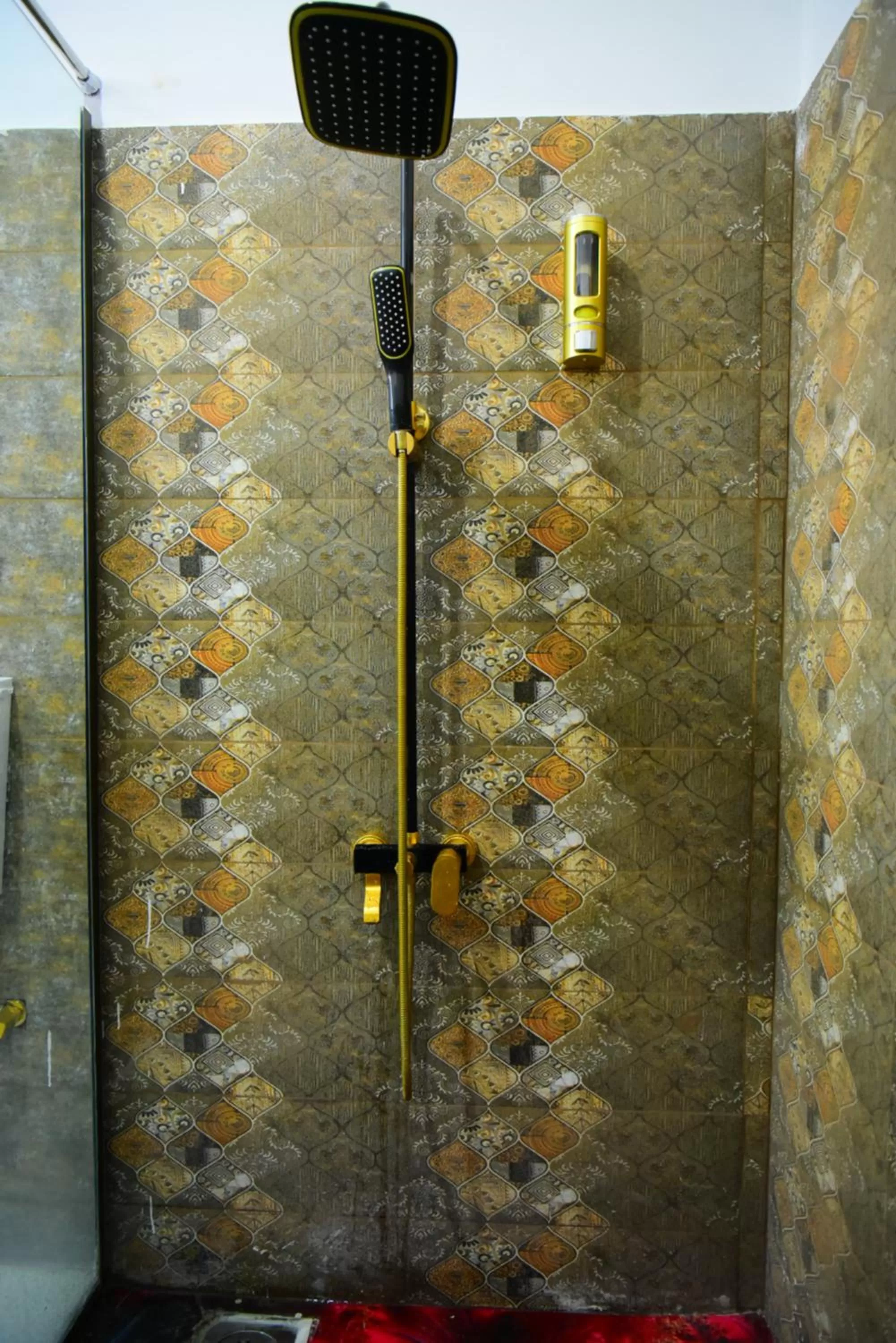 BBQ facilities in Srinagar Homes