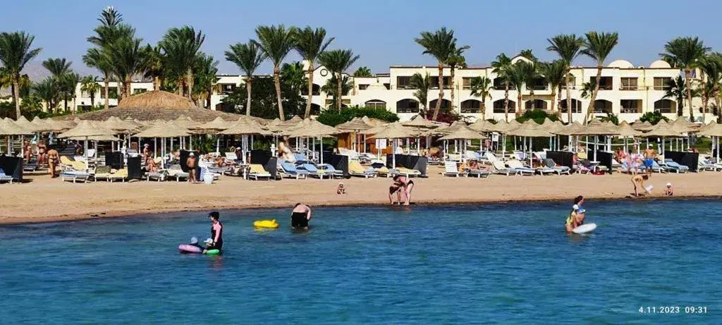 Beach in Regency Plaza Aqua Park and Spa Resort