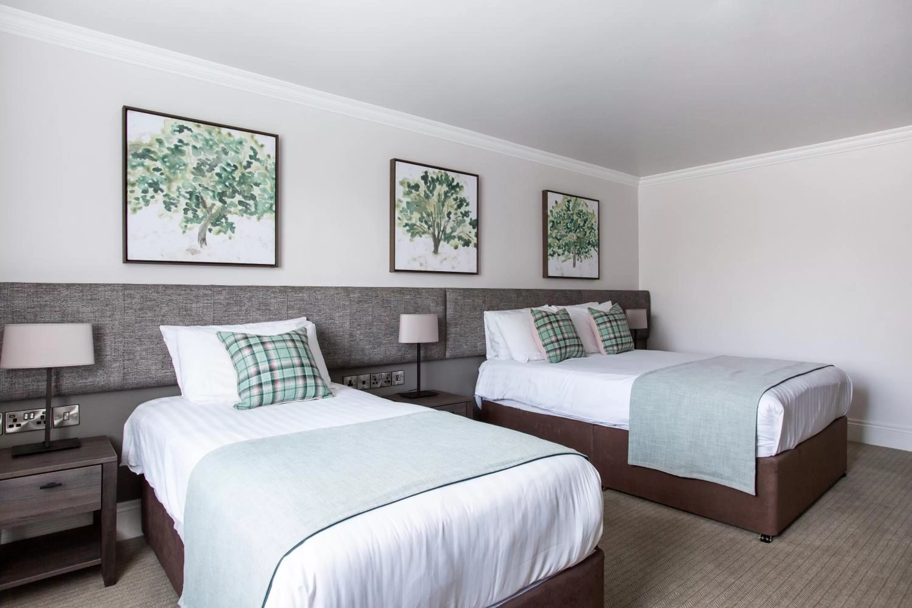 Deluxe Double or Twin Room in Ivanhoe Inn and Hotel