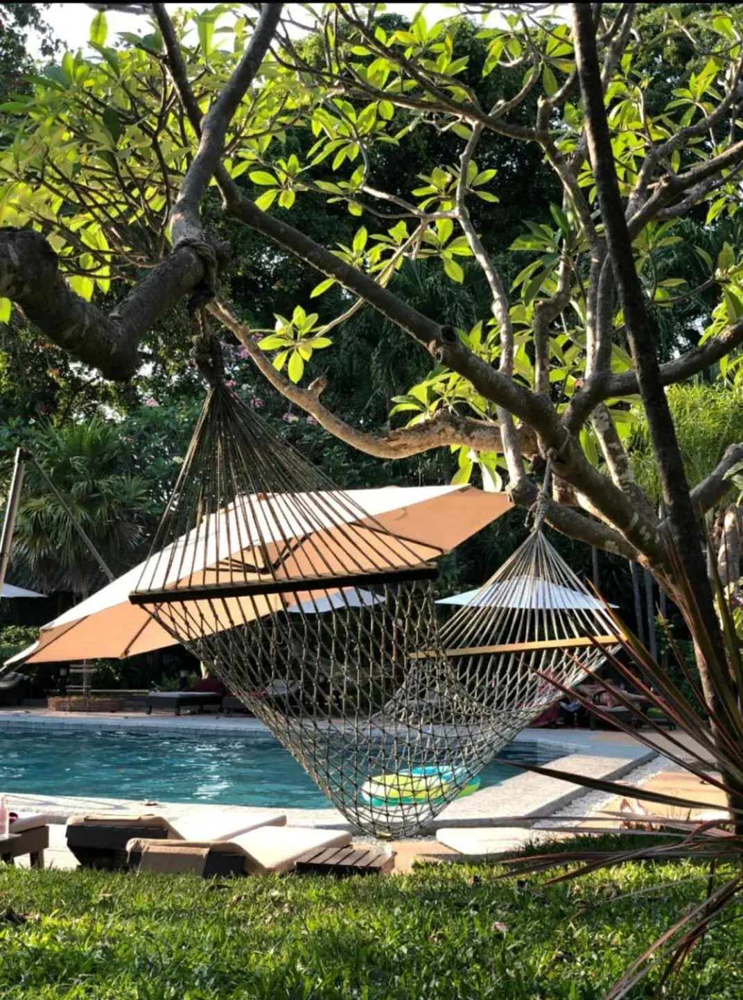 Garden in Let's Hyde Pattaya Resort & Villas - Pool Cabanas