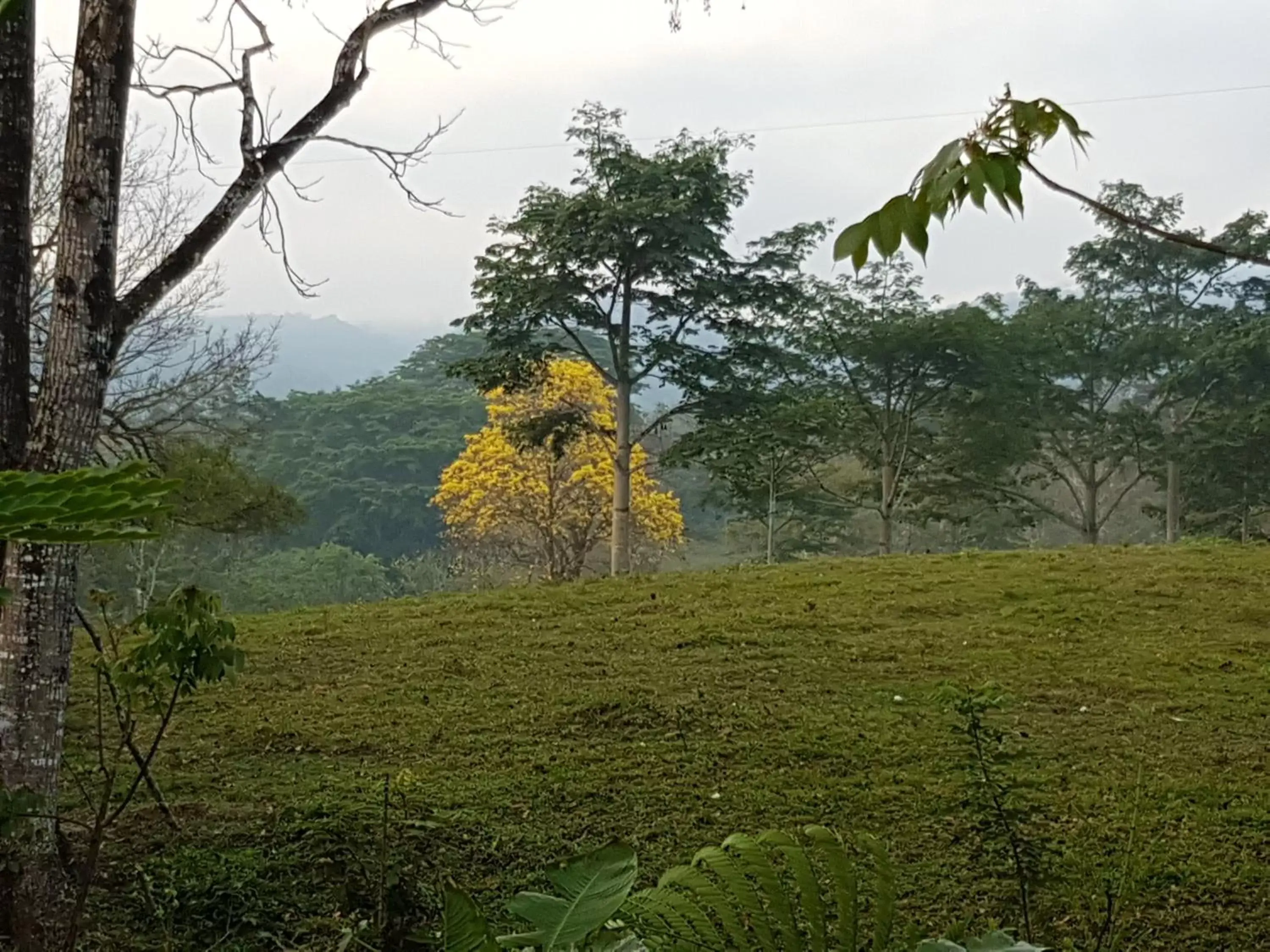 Mountain view in Auto Hotel Paraíso Inn