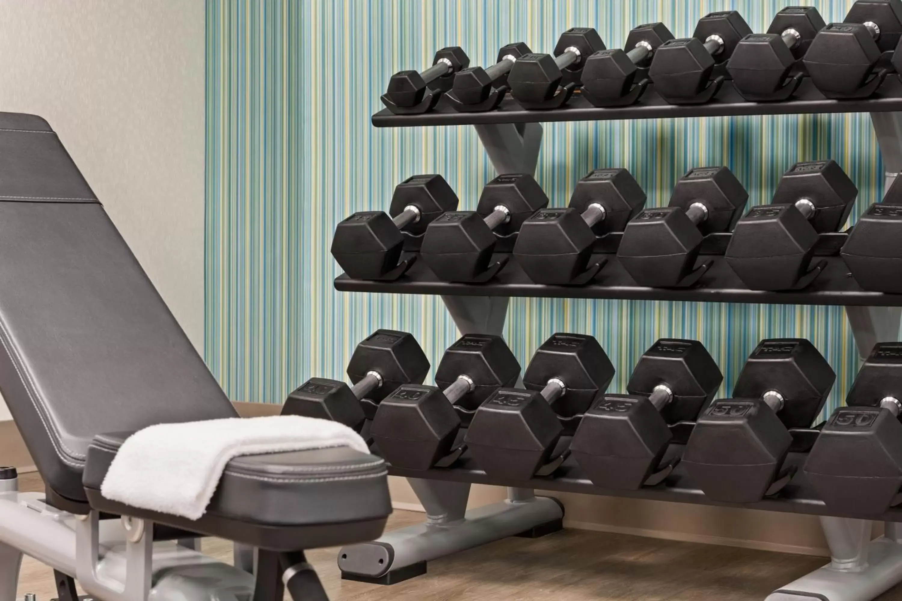 Fitness centre/facilities, Fitness Center/Facilities in Holiday Inn Express Hotel & Suites Greenville-Downtown, an IHG Hotel