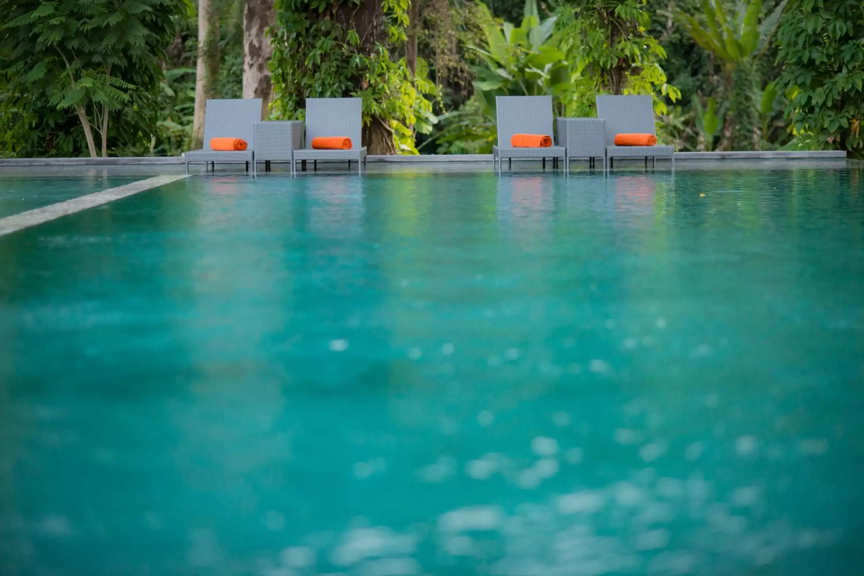 Swimming Pool in Flora Creek Chiang Mai