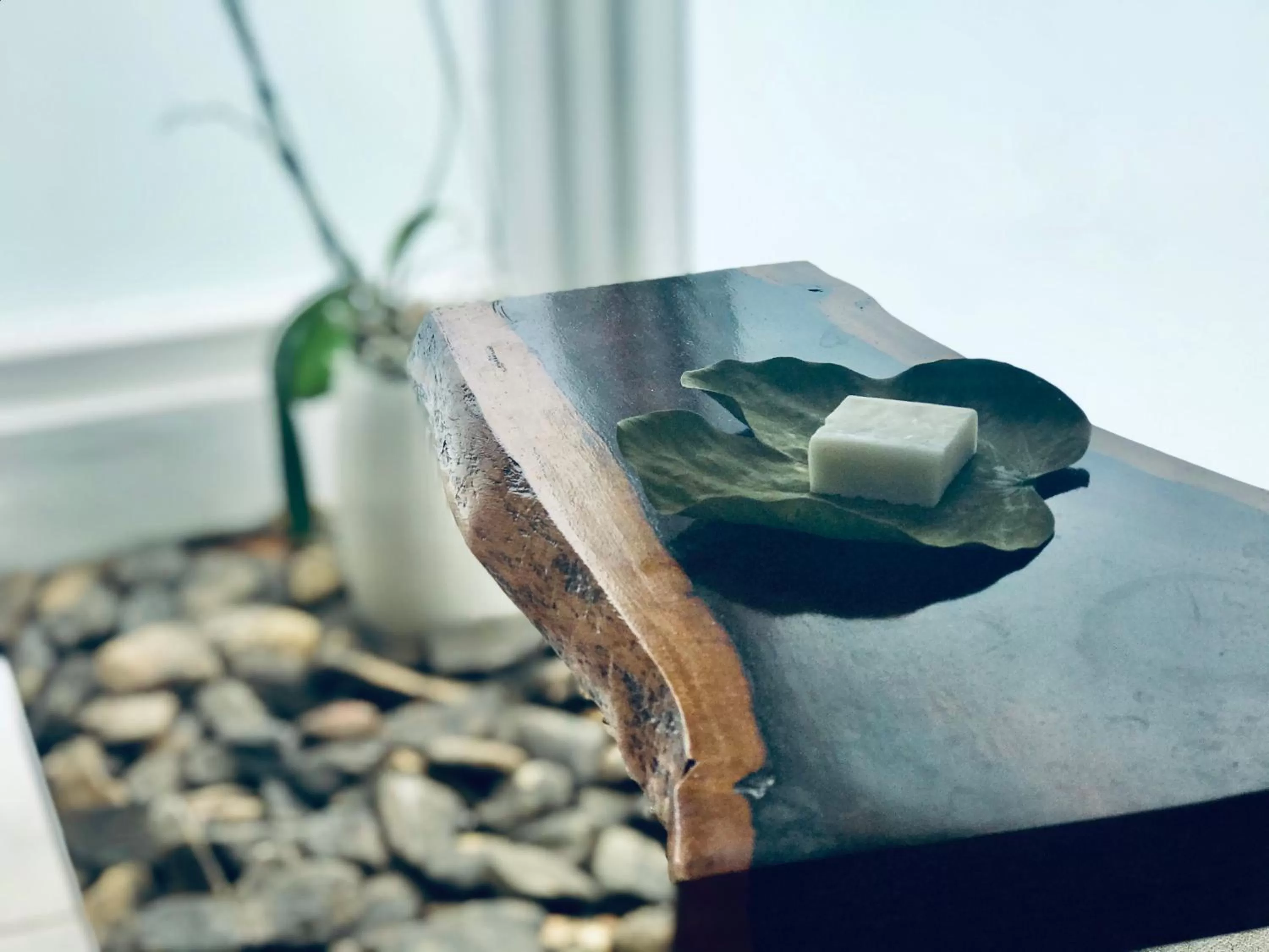 Shopping Area in Sattva Land