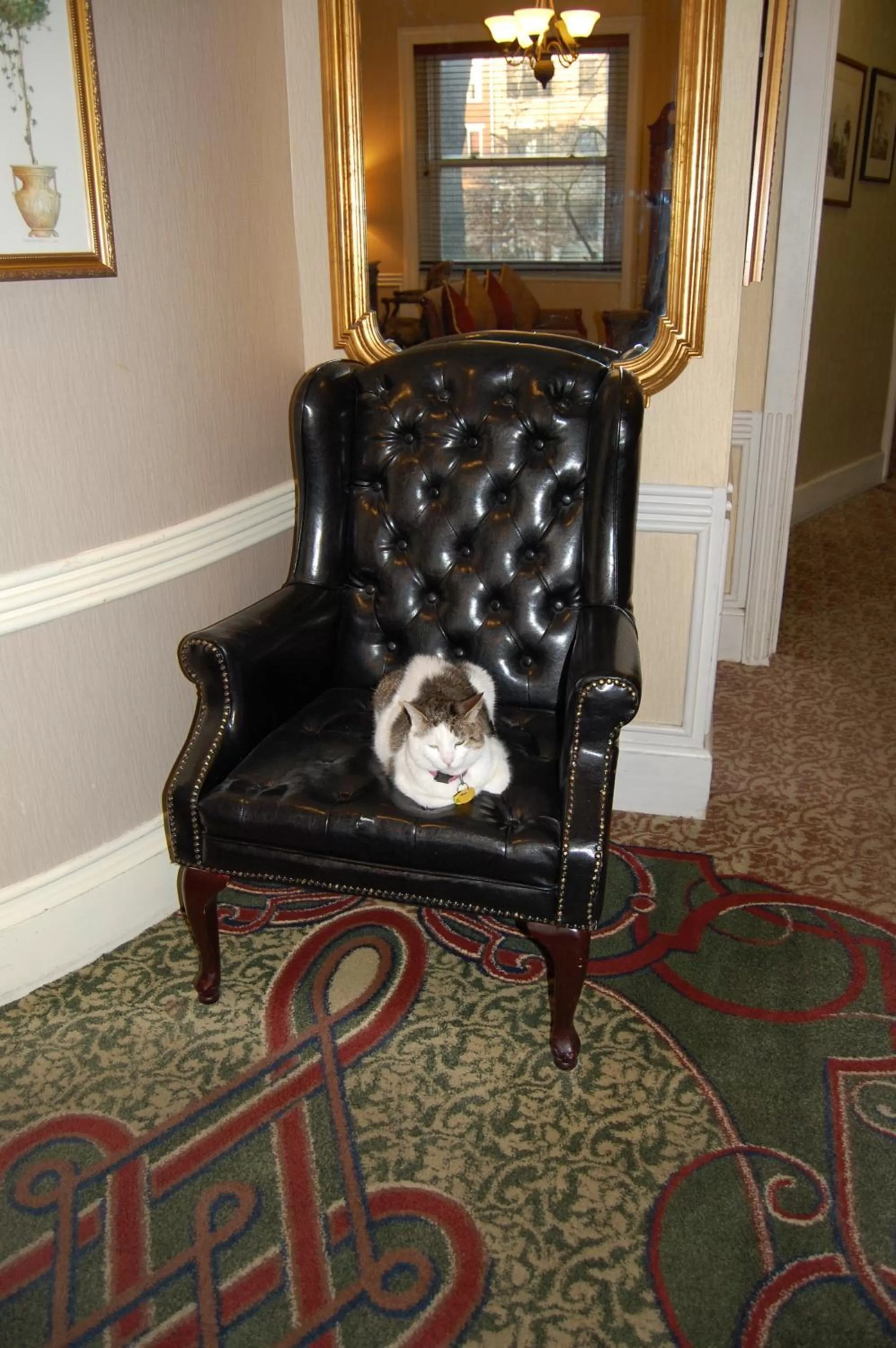 Communal lounge/ TV room in Windsor Inn Hotel