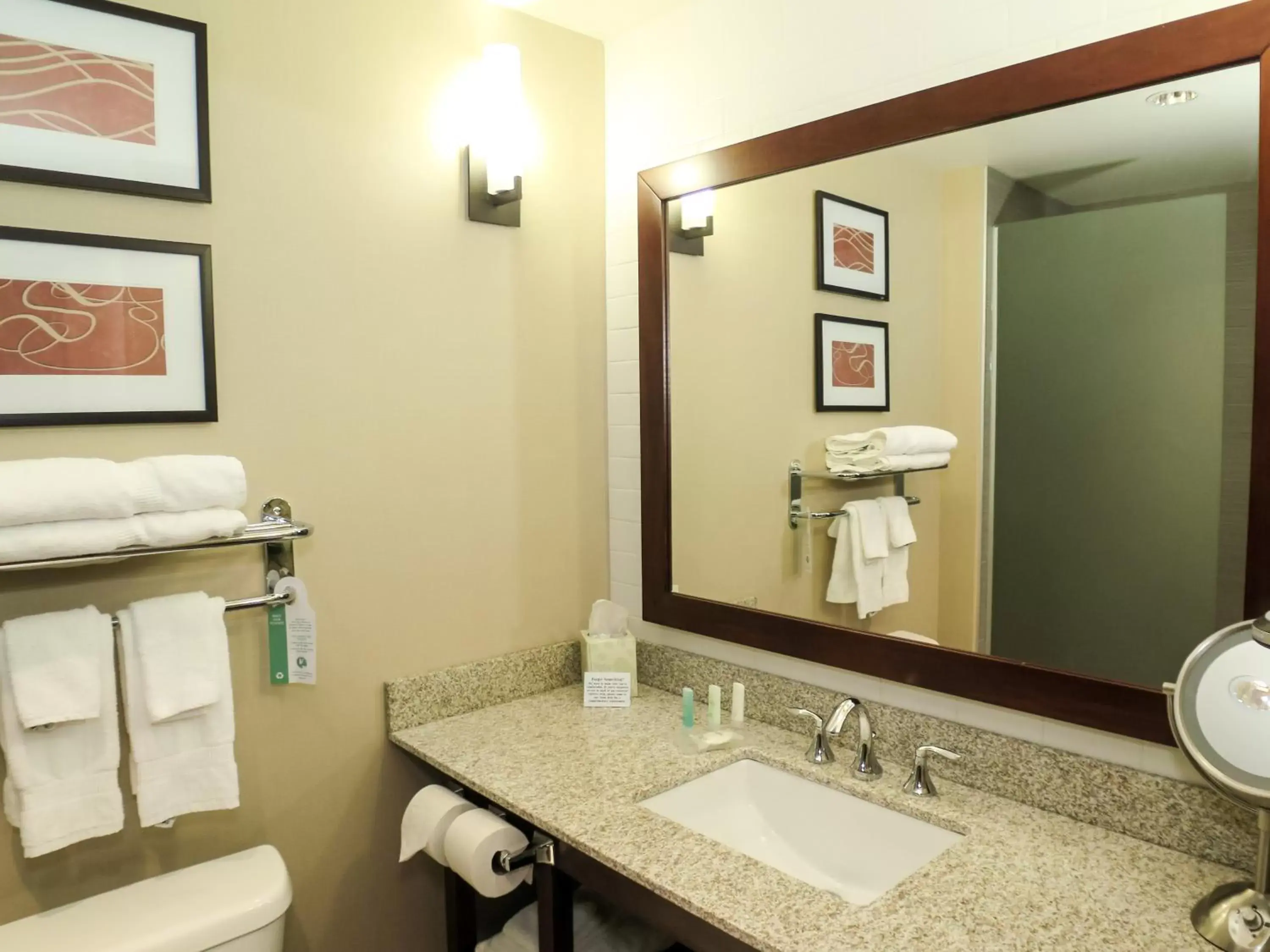 Bathroom in Comfort Suites Regina