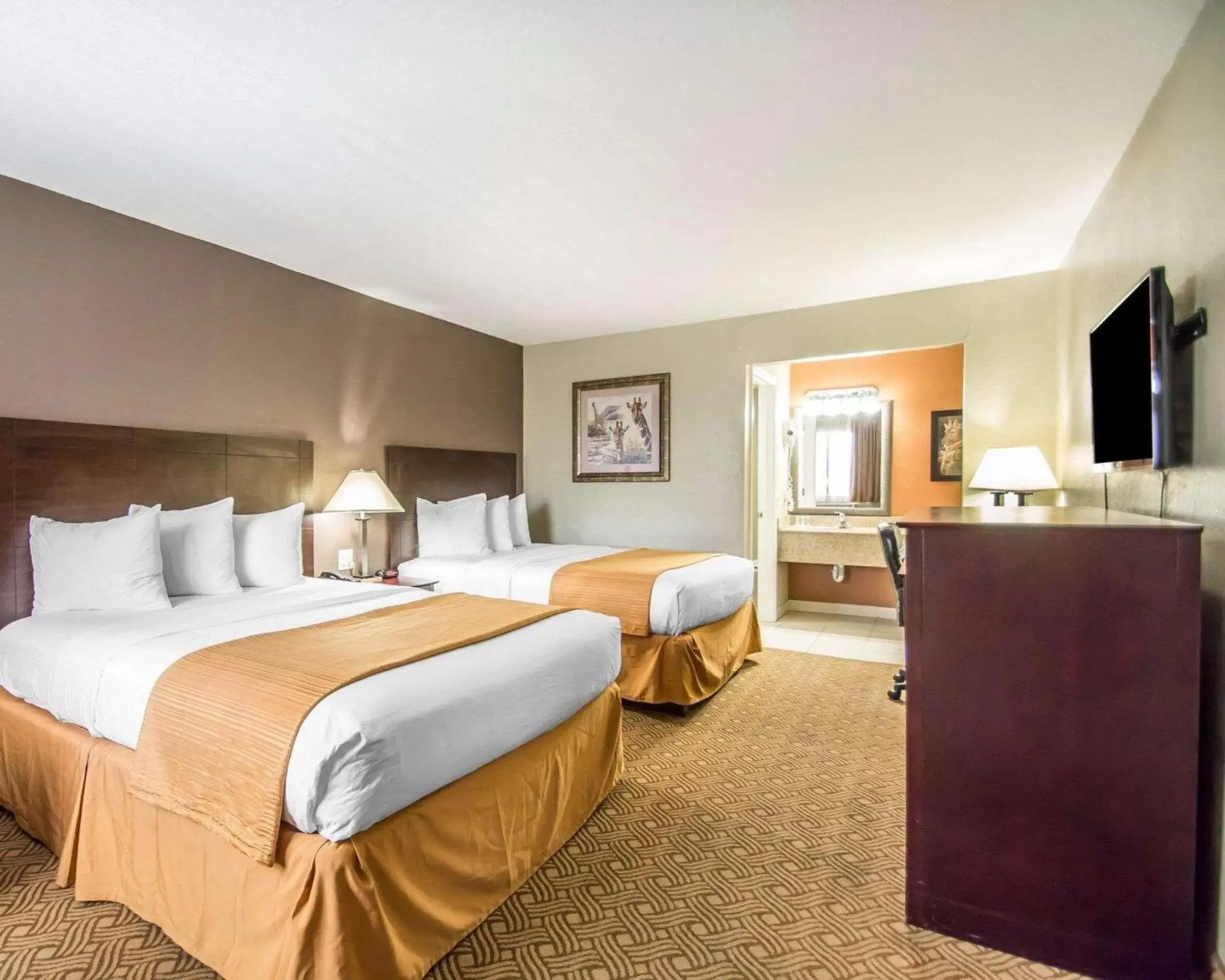 Photo of the whole room, Bed in Quality Inn & Suites By the Parks