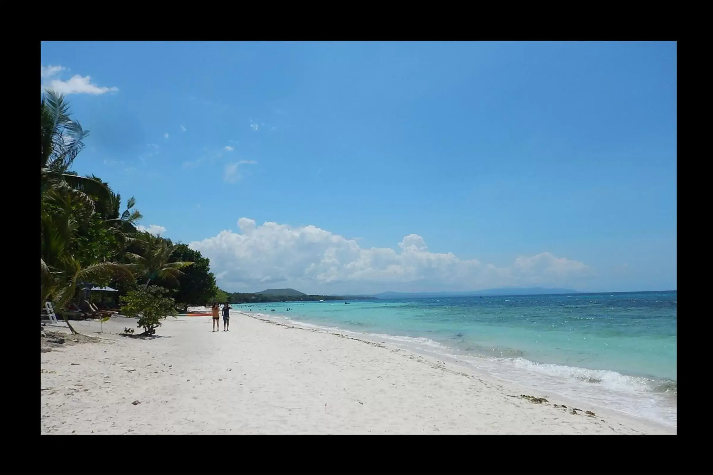 Beach, Natural Landscape in Bohol Dreamcatcher Resort