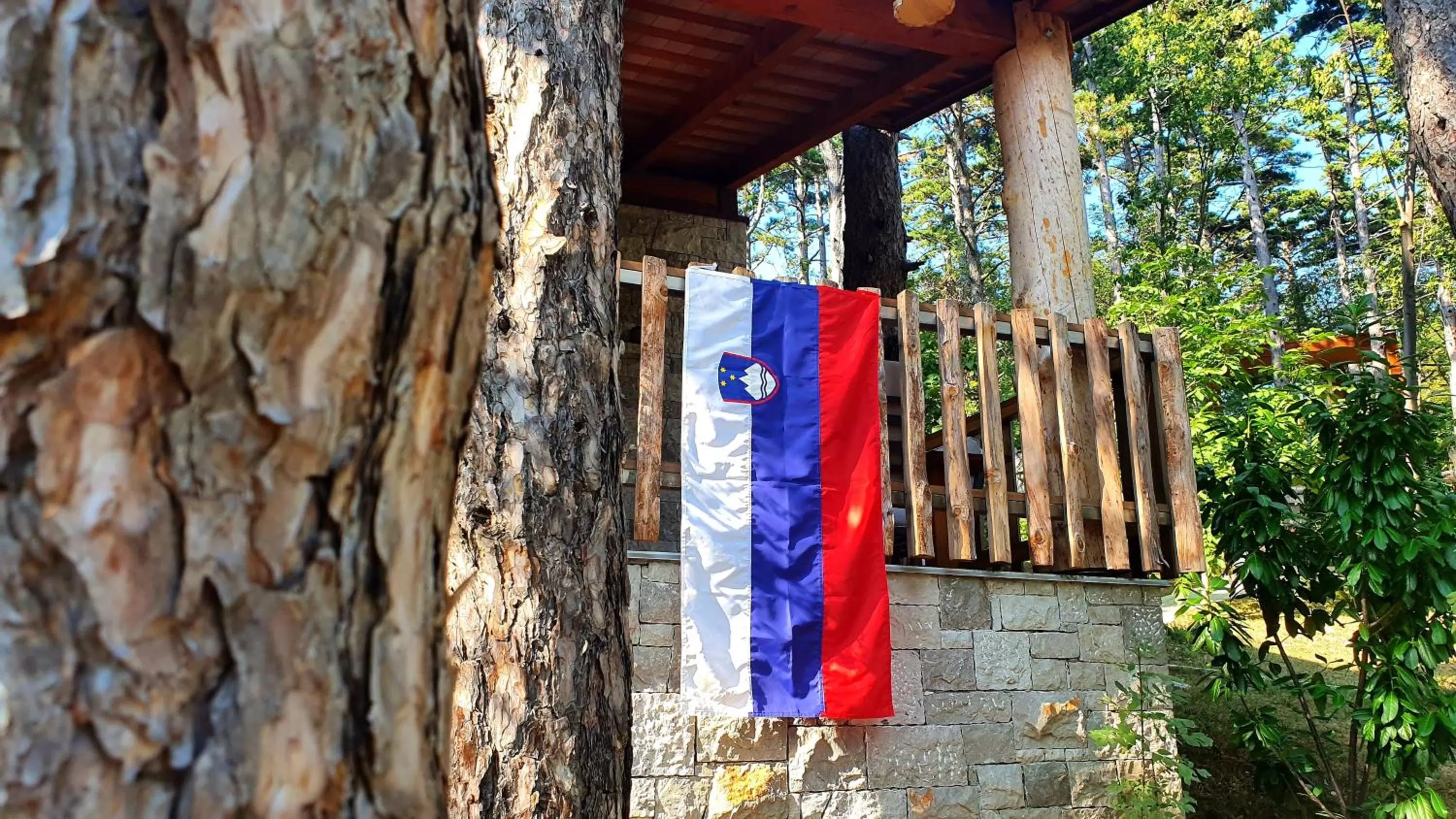 Day in Theodosius Forest Village - Glamping in Vipava valley