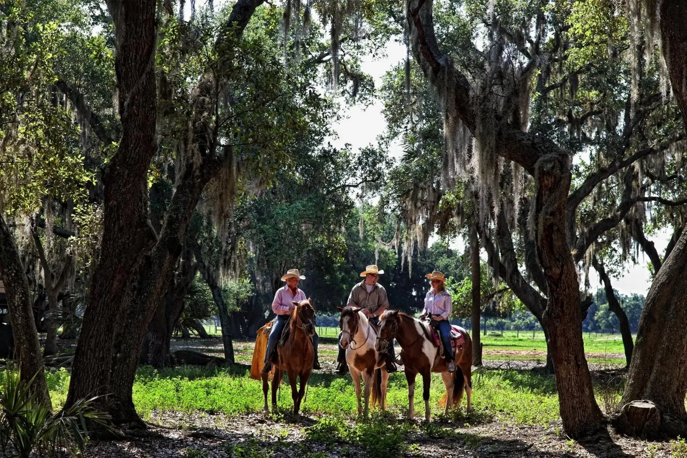 Horse-riding, Horseback Riding in Westgate River Ranch Resort & Rodeo
