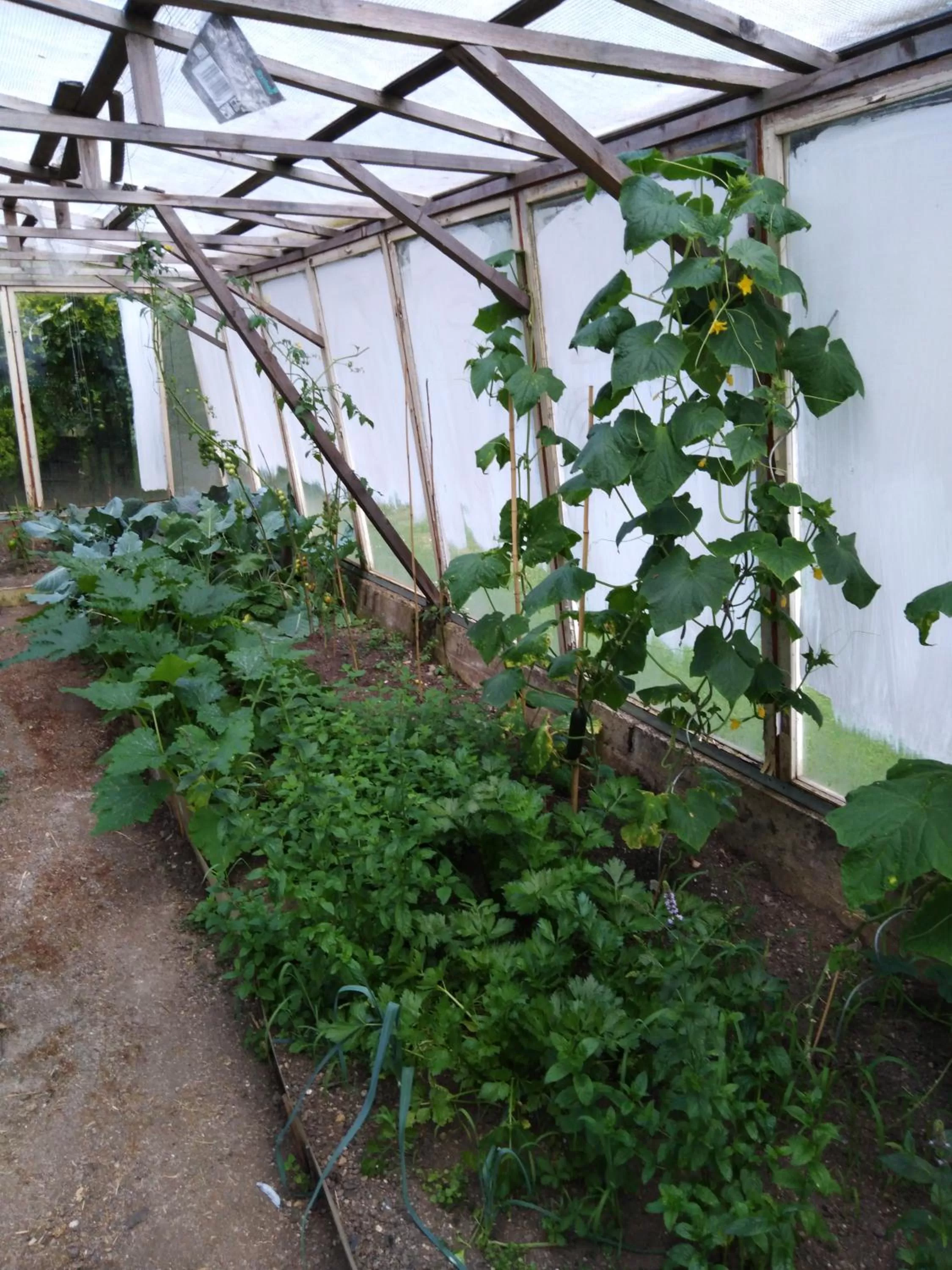 Breakfast in Pension Lukas