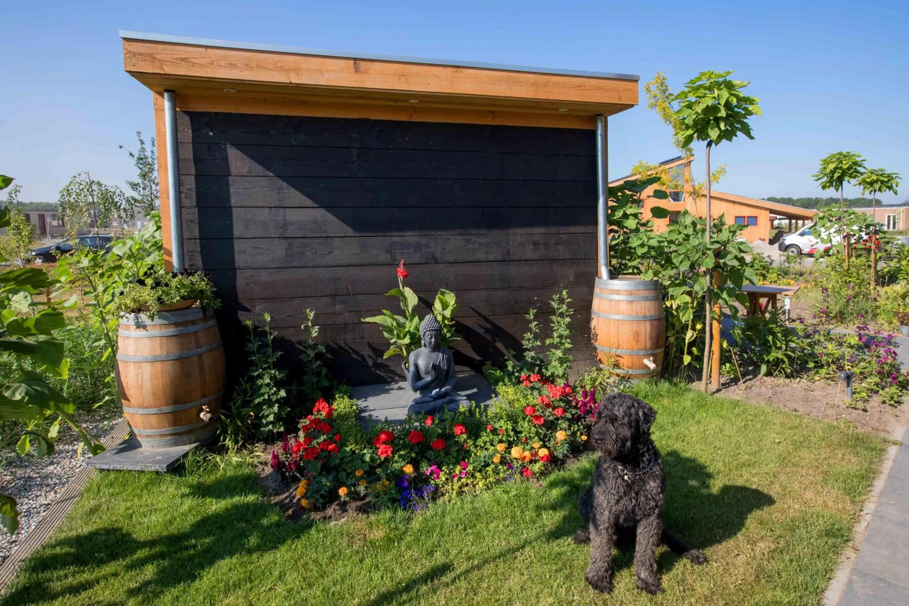 Garden in Amsterdam Area Residence Oosterwold