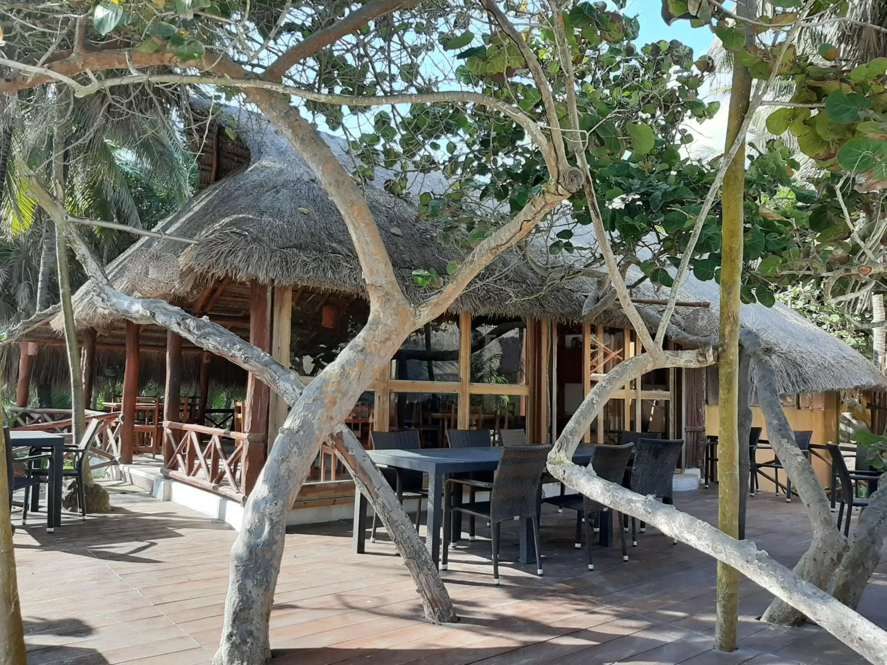 Restaurant/places to eat in BT Live Tulum located at the party zone