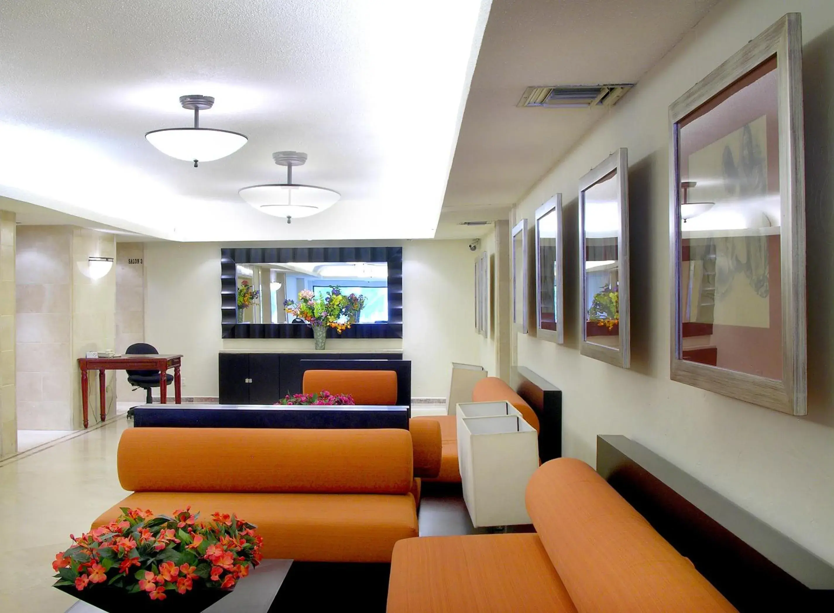 Area and facilities, Lounge/Bar in Hotel Terranova