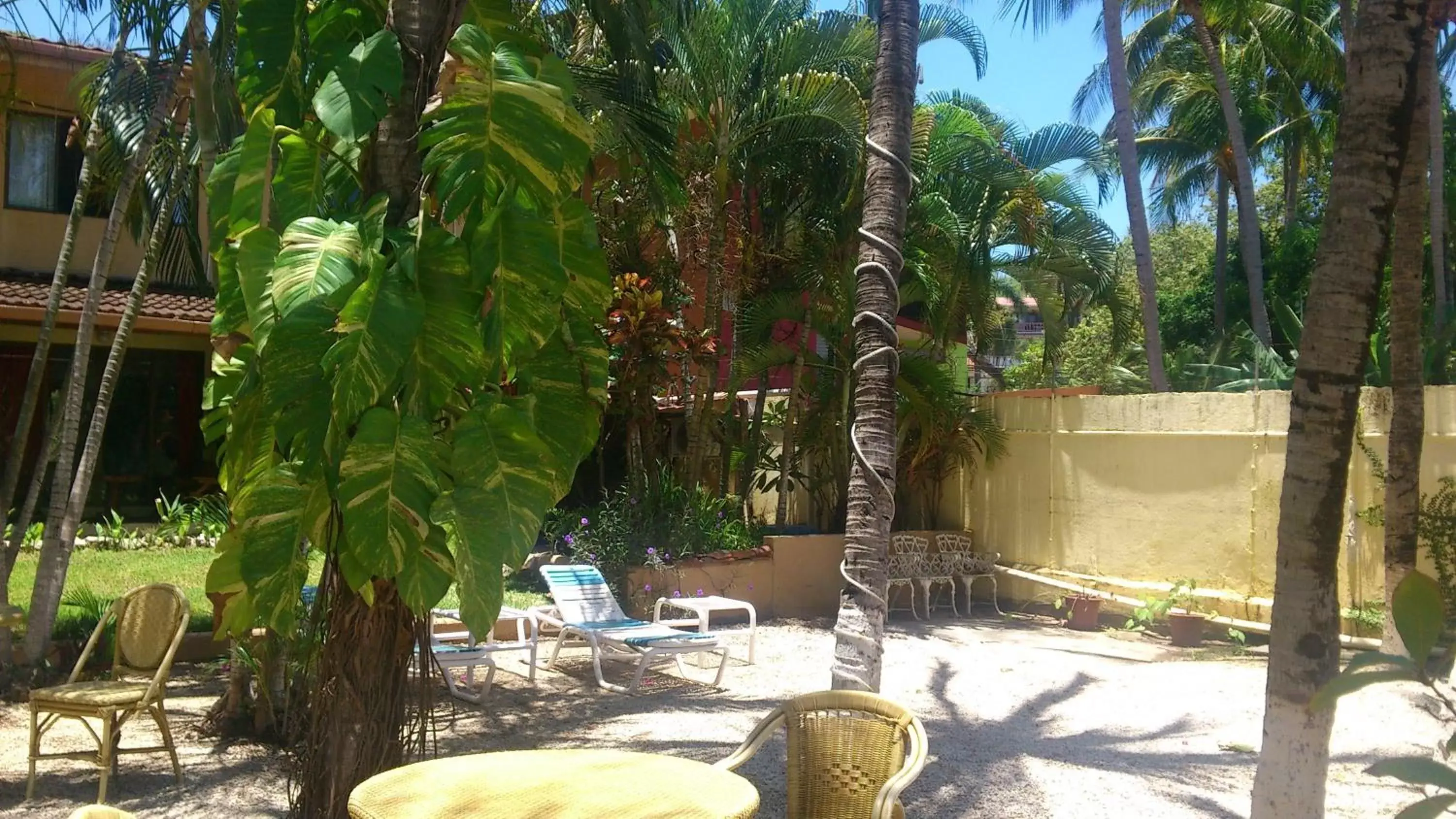 Day, Restaurant/Places to Eat in Hotel Laguna del Cocodrilo