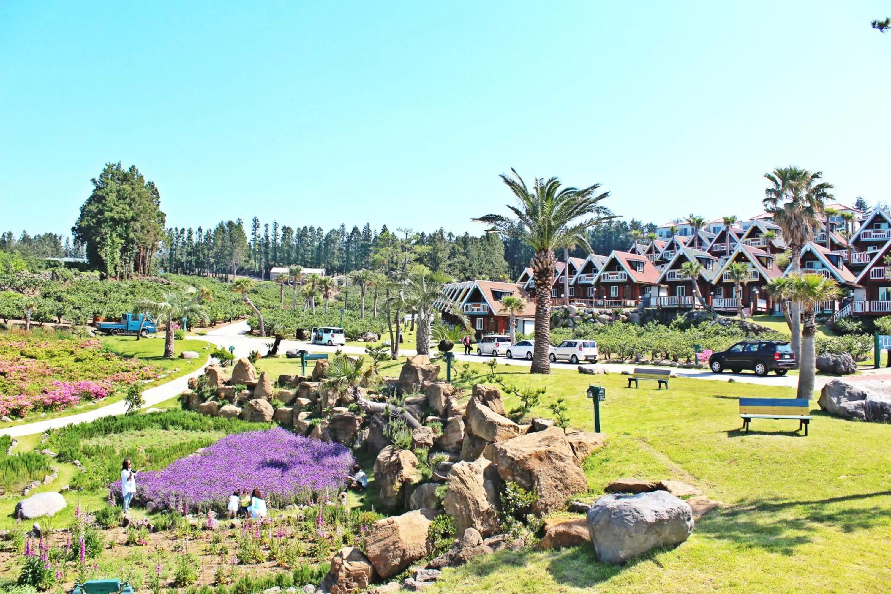 View (from property/room) in Jungmun Log Pension & Resort