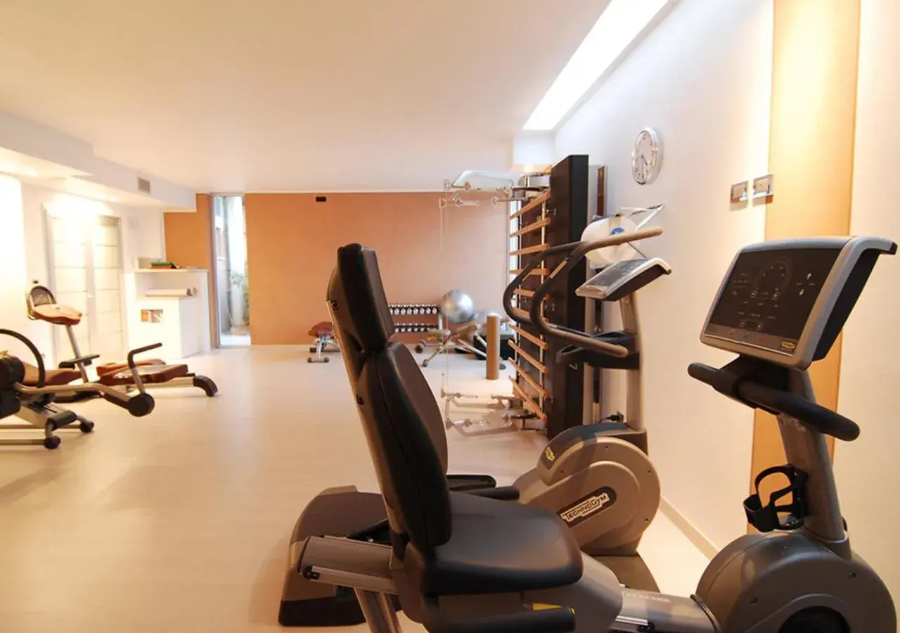 Fitness centre/facilities, Fitness Center/Facilities in Iseo Lago Hotel