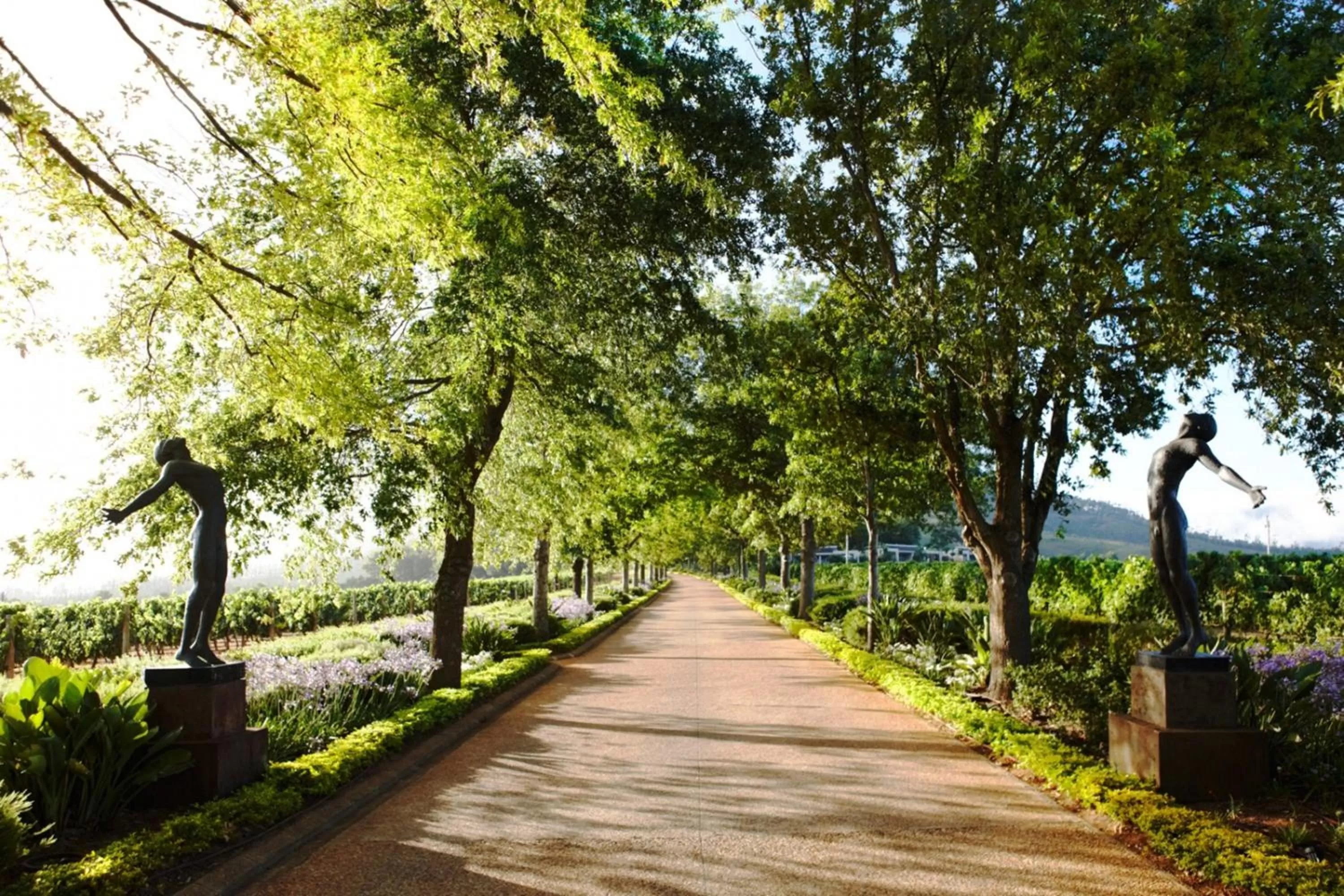 Facade/entrance in Delaire Graff Lodges and Spa