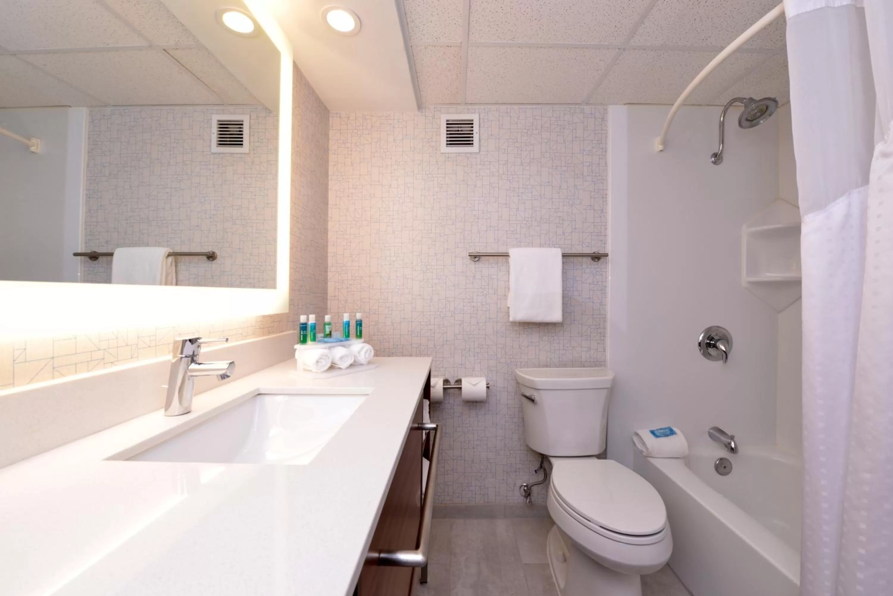 Bathroom in Holiday Inn Express & Suites Springfield by IHG