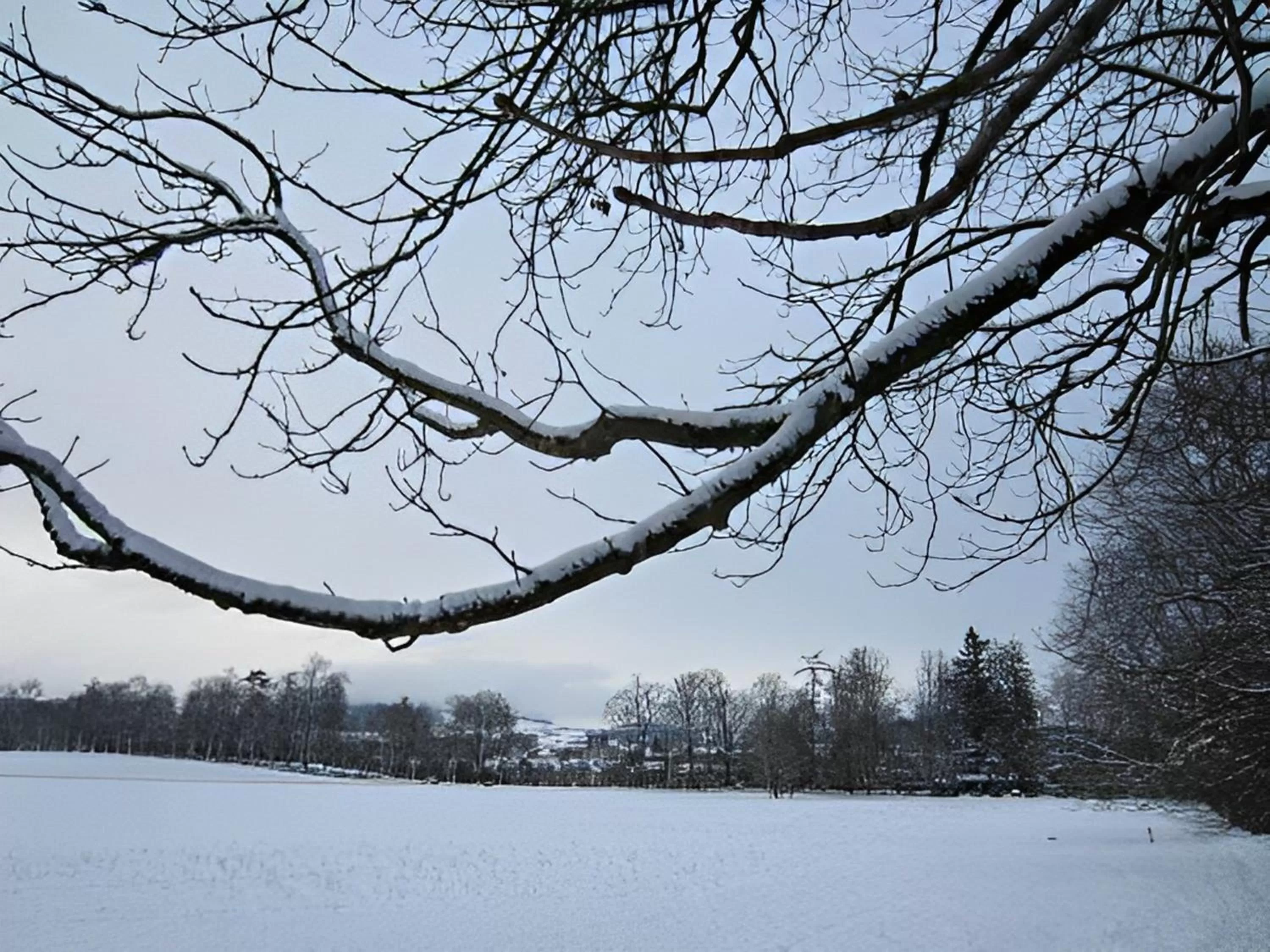 Natural landscape in Unique Hotel Innere Enge