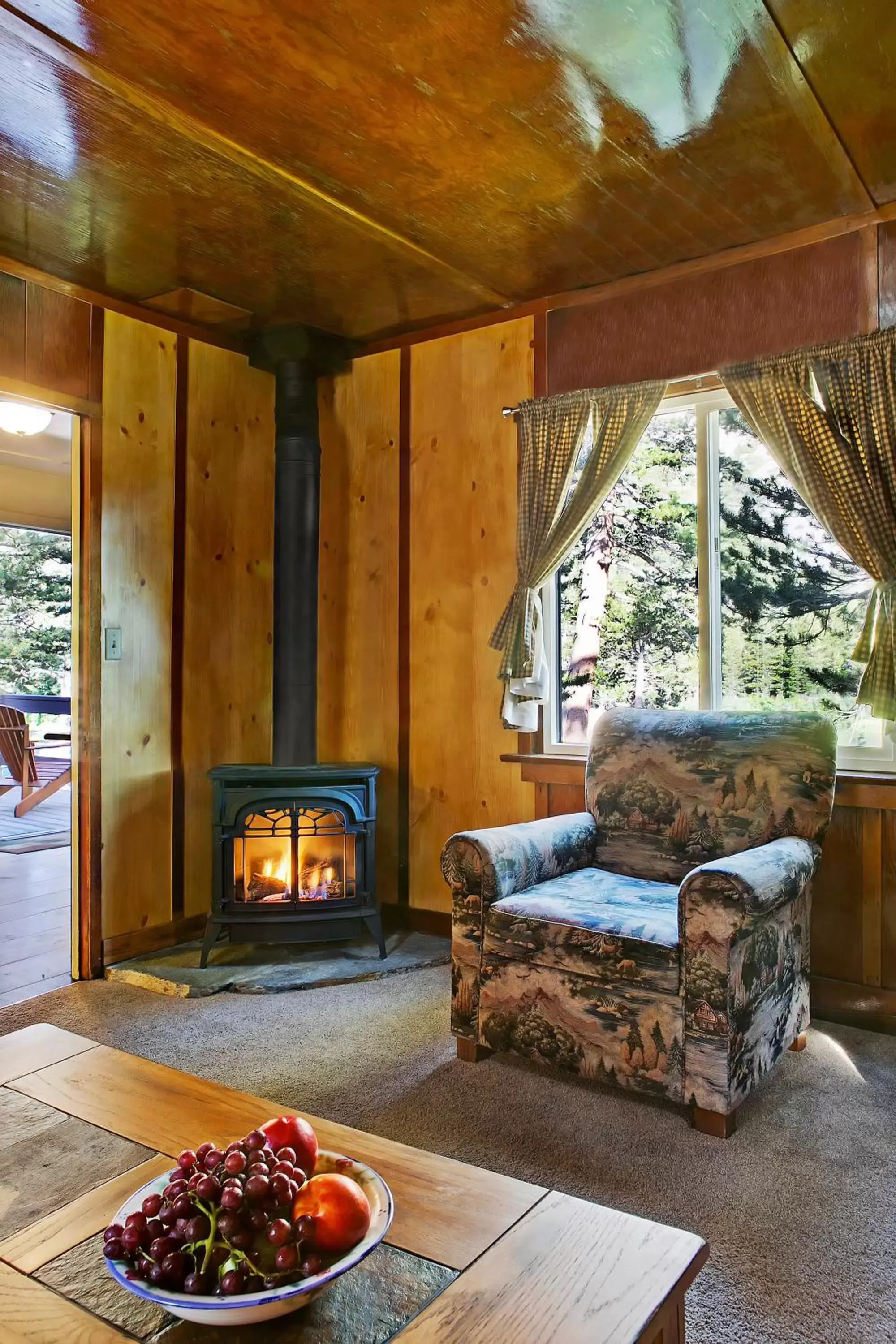 Living room in Tamarack Lodge