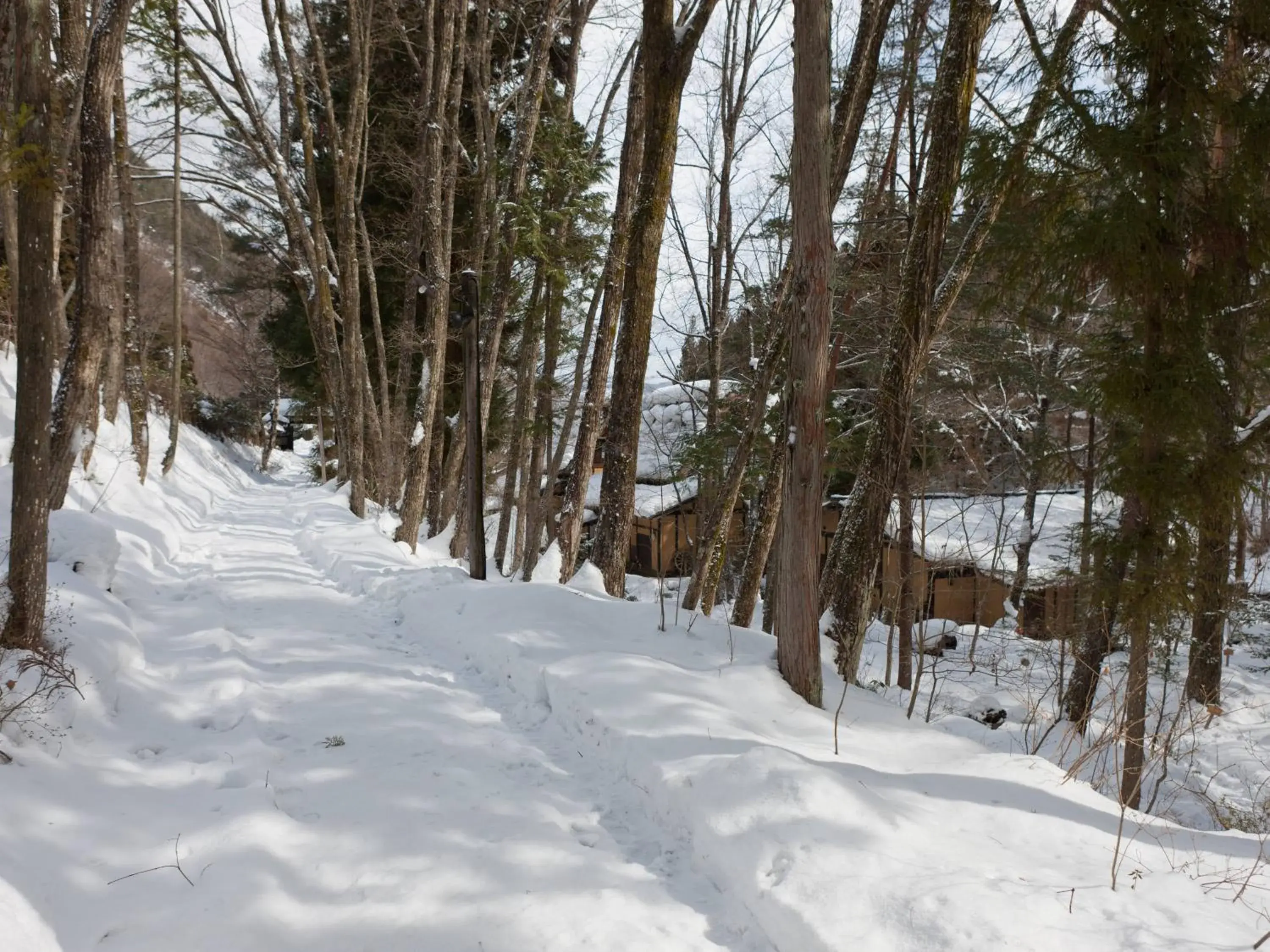 Winter in Wanosato Ryokan