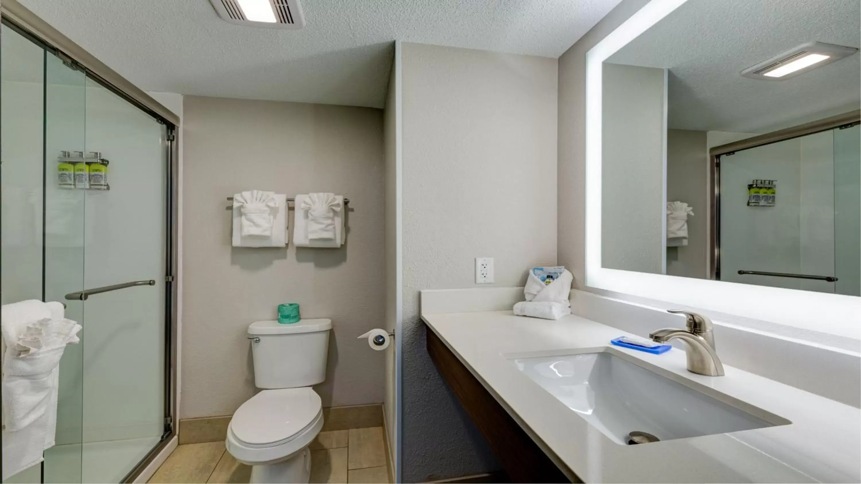 Bathroom in Holiday Inn Express & Suites Ashtabula-Geneva, an IHG Hotel