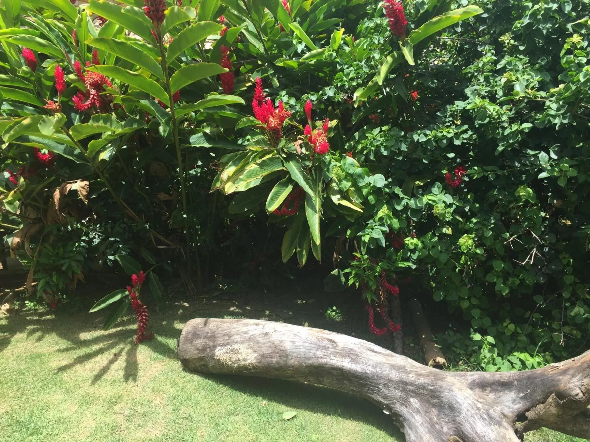 Praia da Ferradurinha Guest House