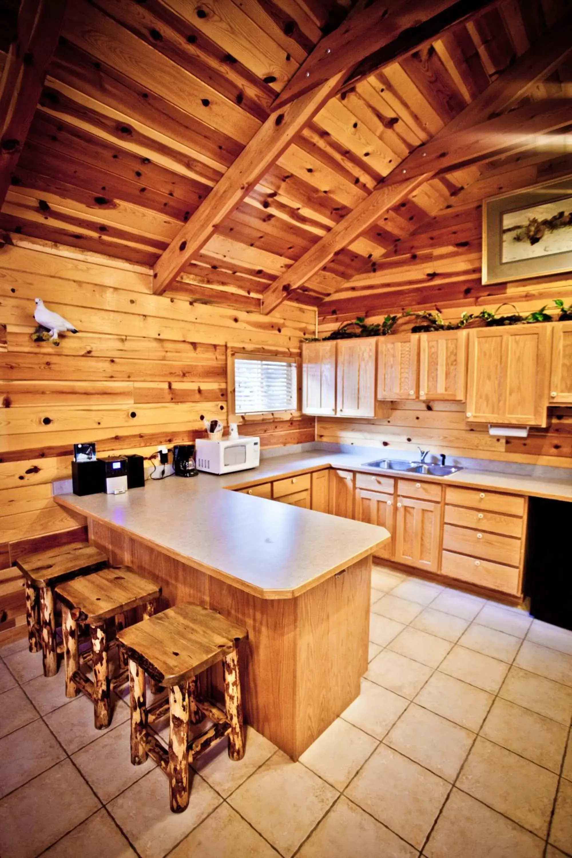 Kitchen or kitchenette in Alaskan Inn and Spa