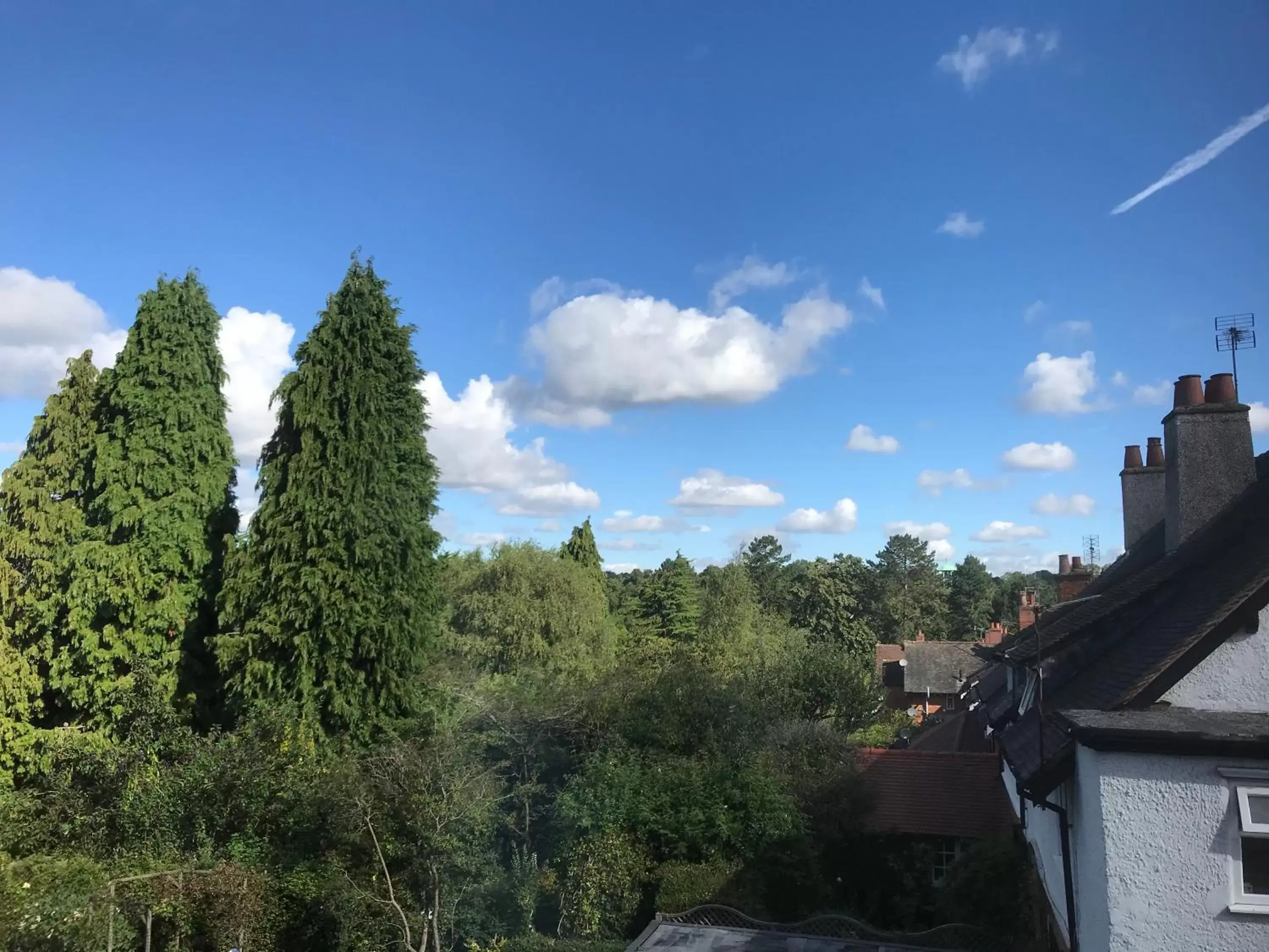 View (from property/room), Neighborhood in Old Farm Hotel