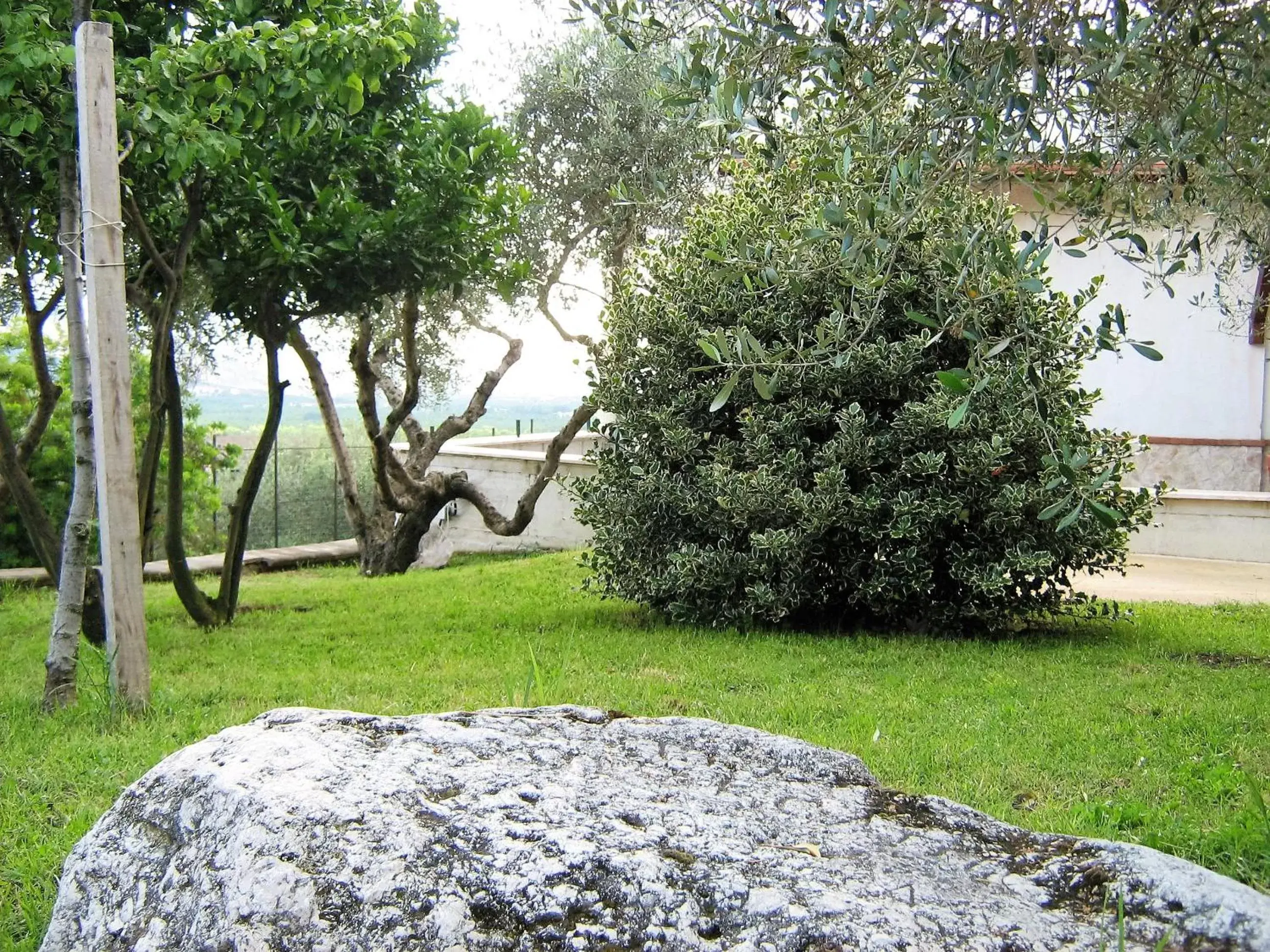 Garden in B&B Maison Villa Vittorio