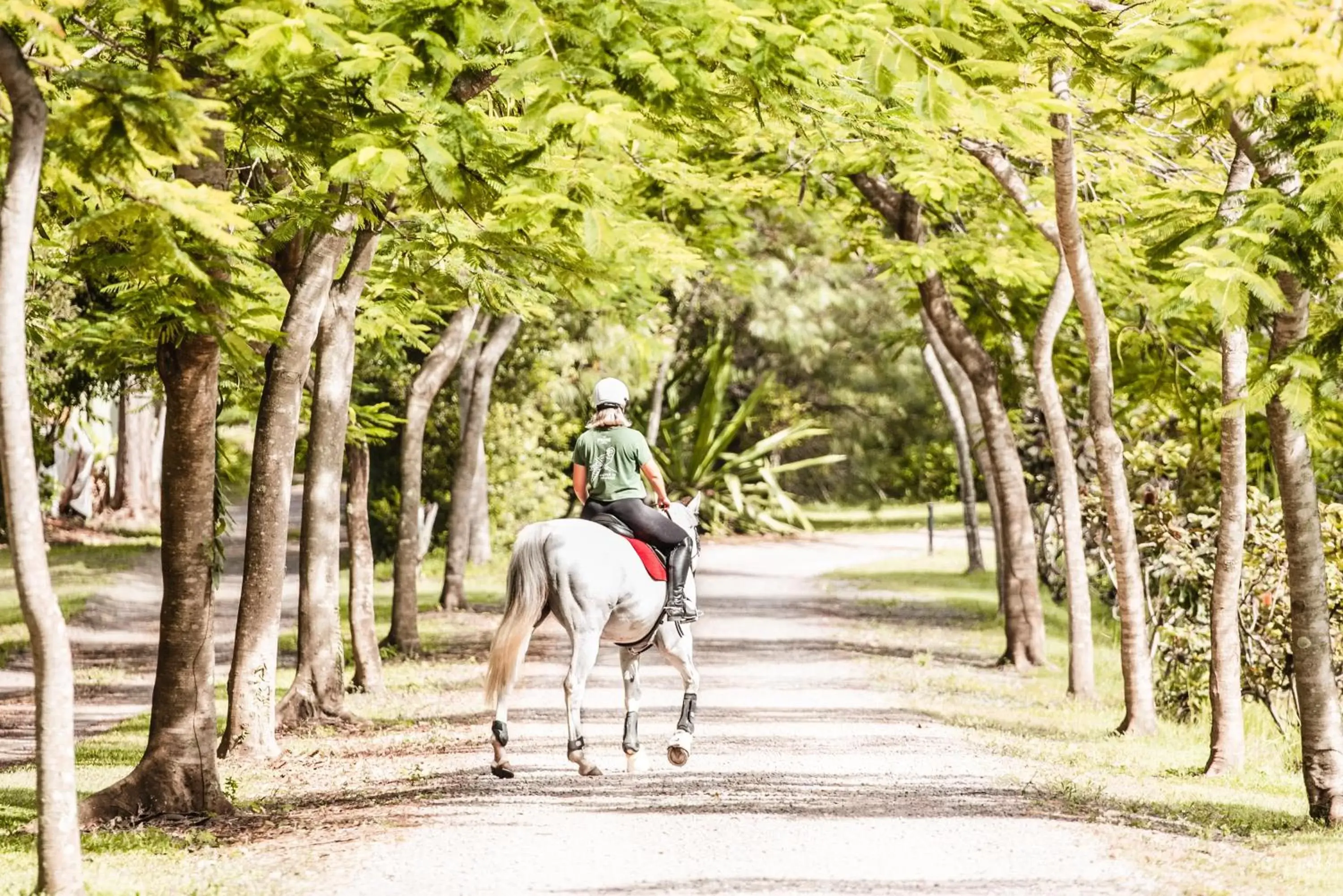 Horseback Riding in Lake Weyba Cottages Noosa