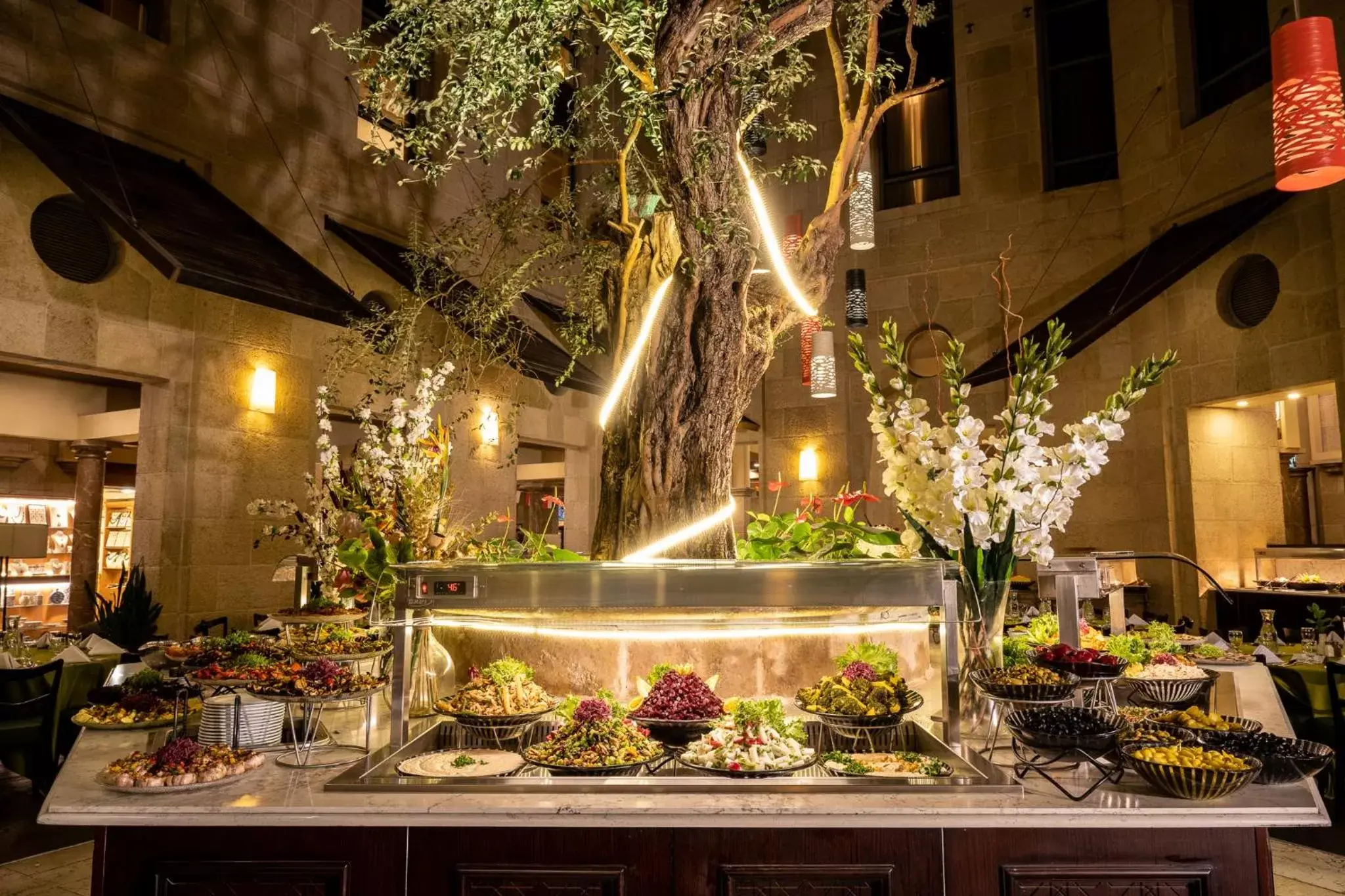 Dinner in Olive Tree Hotel