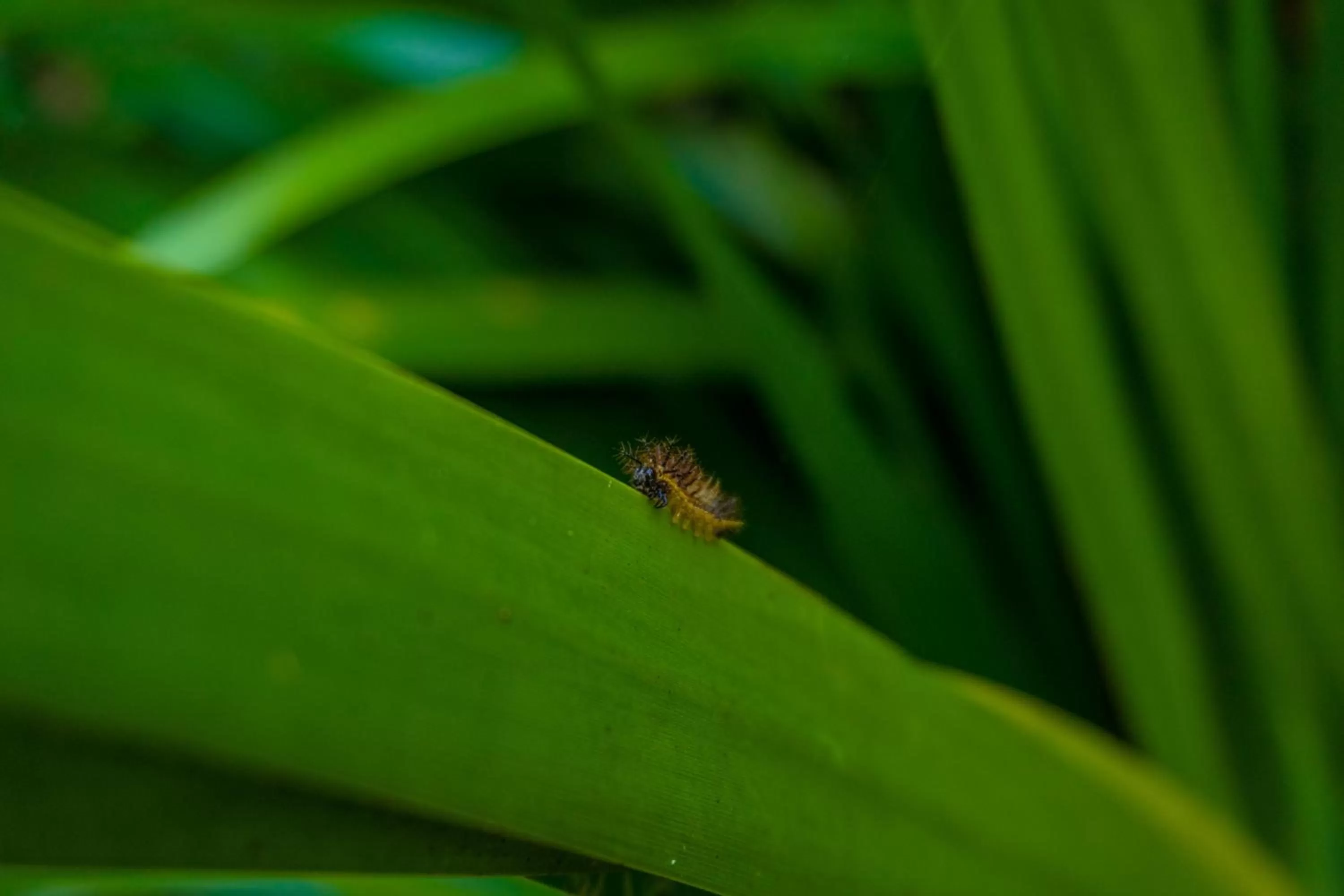 Property building in Pousada Piquara