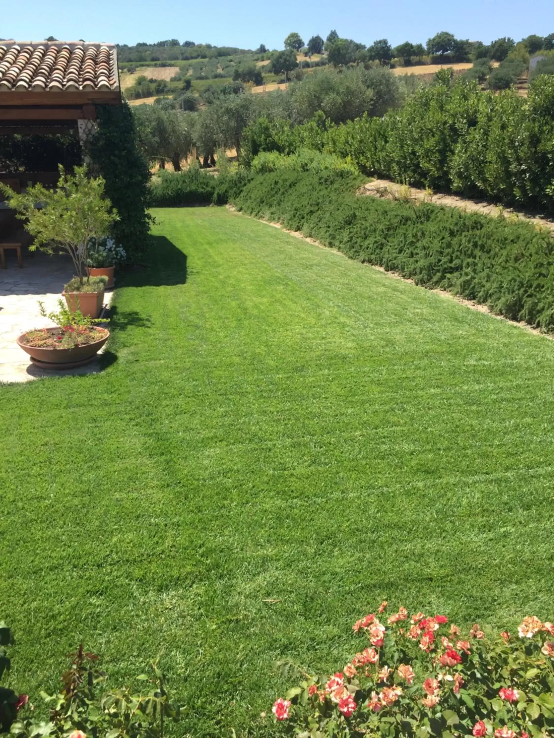 Garden in Villa Angiolina, Molise