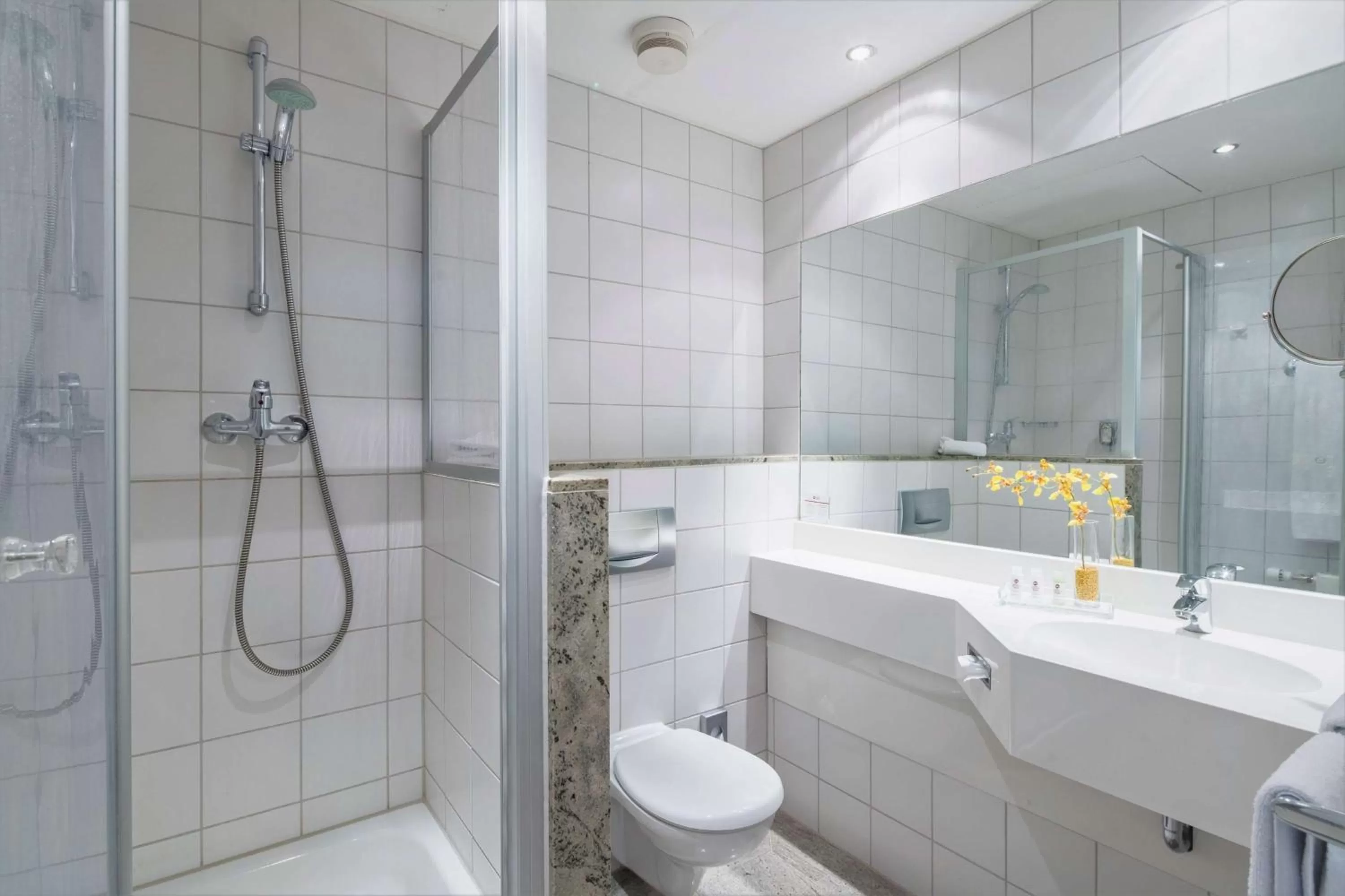 Large Double Room in Best Western Plus Hotel Excelsior