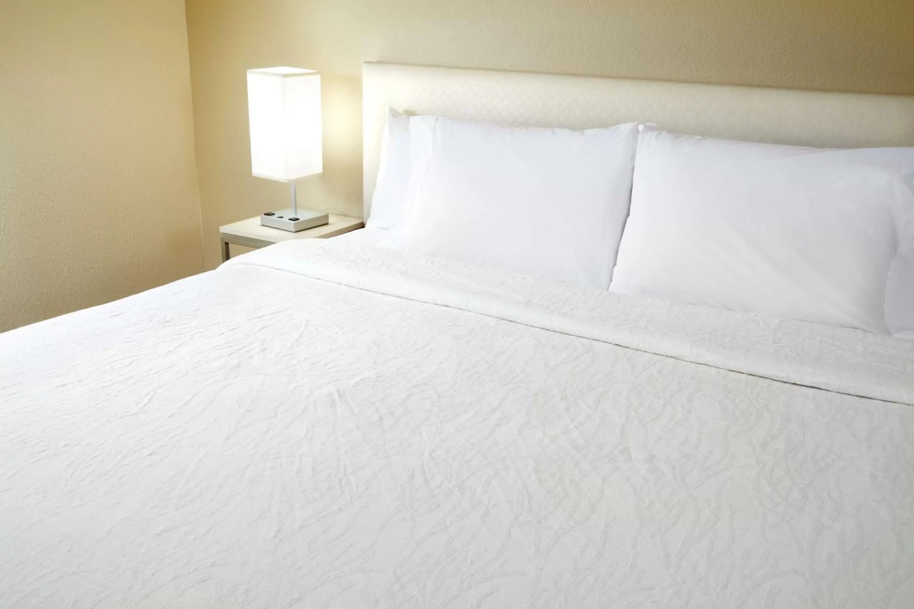 King Room with Bath Tub - Disability Access in Hilton Garden Inn Savannah Midtown King Room with Bath Tub - Disability Access in Hilton Garden Inn Savannah Midtown