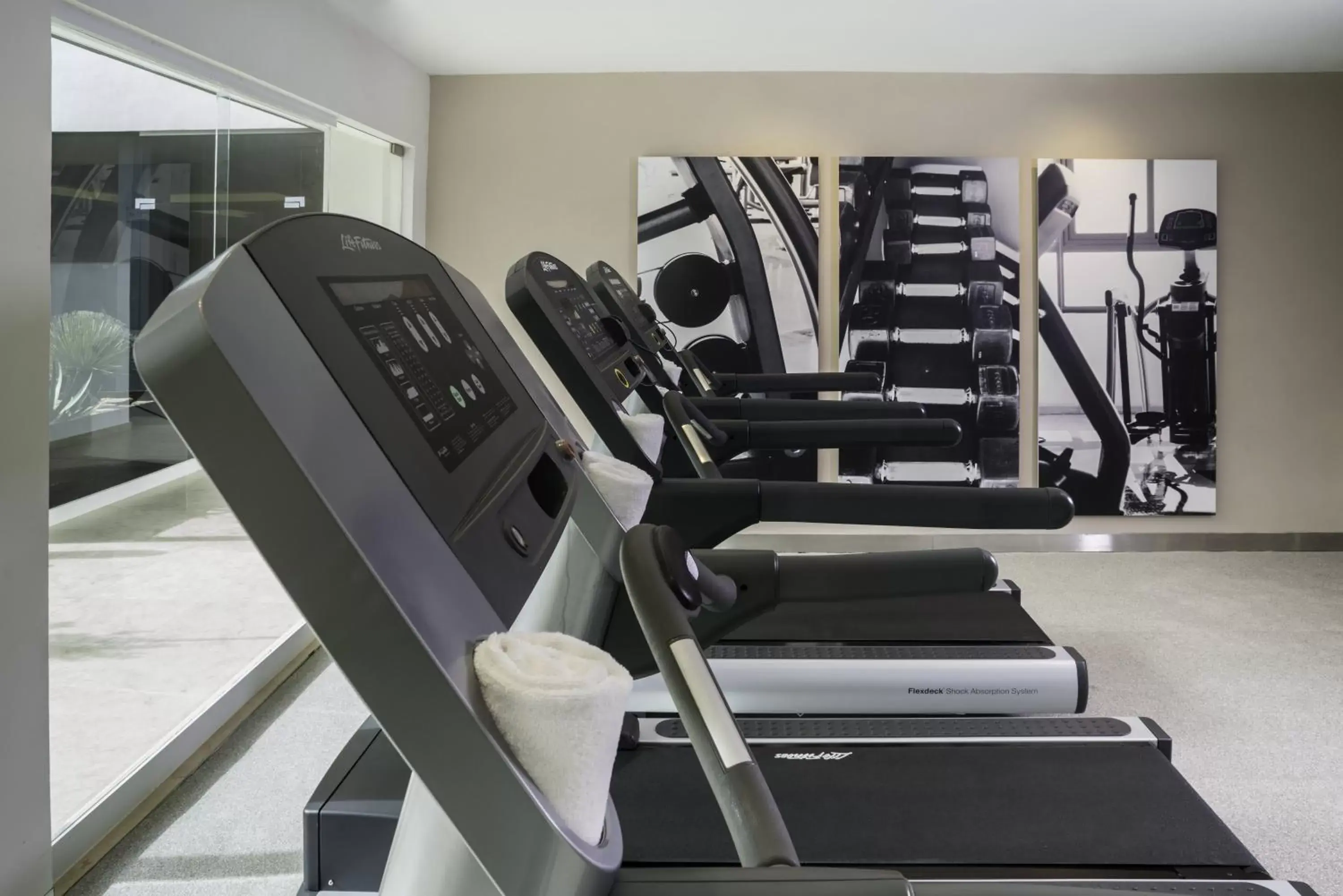 Fitness centre/facilities, Fitness Center/Facilities in Fiesta Inn Monterrey Valle